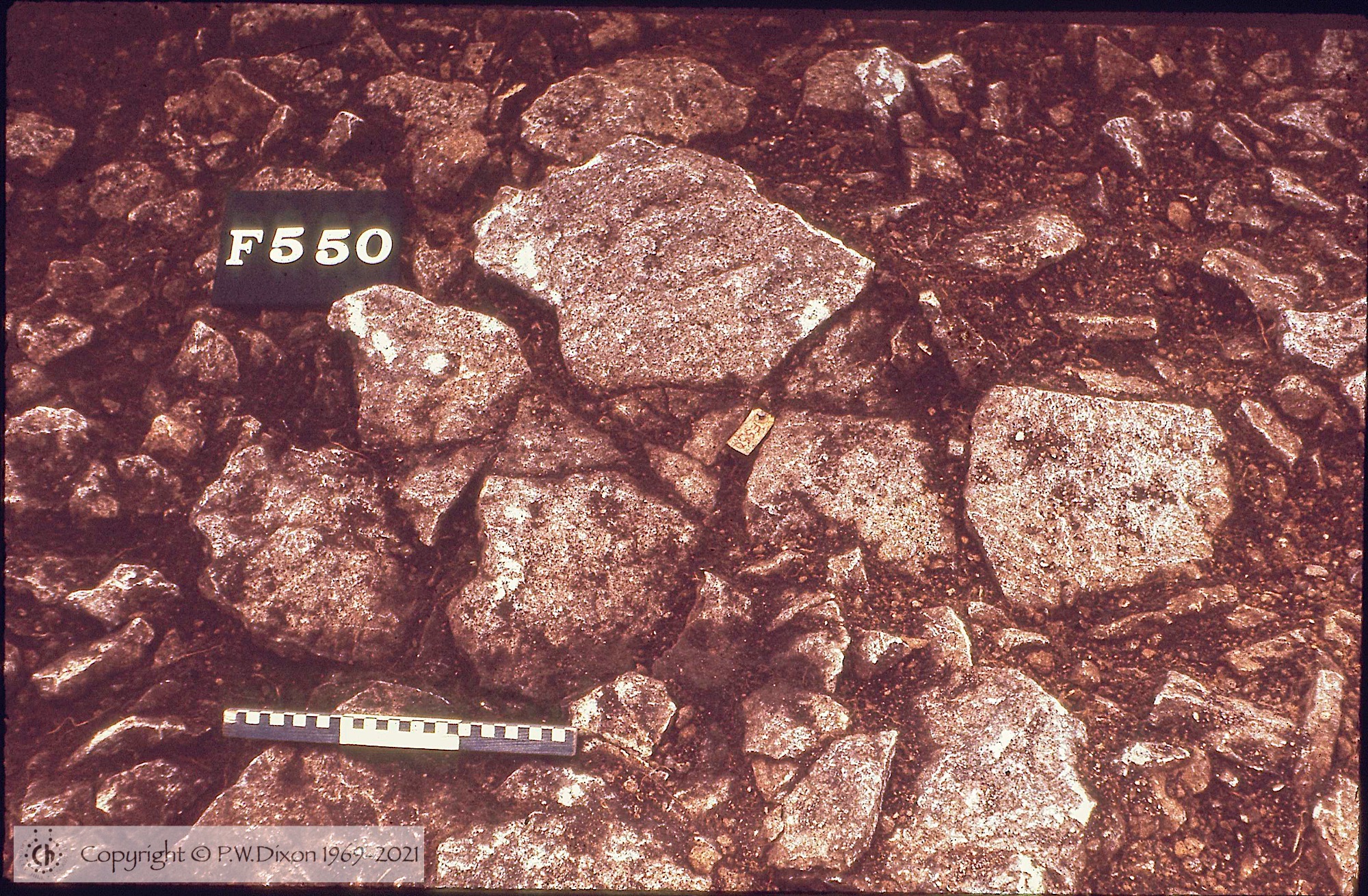 C72026