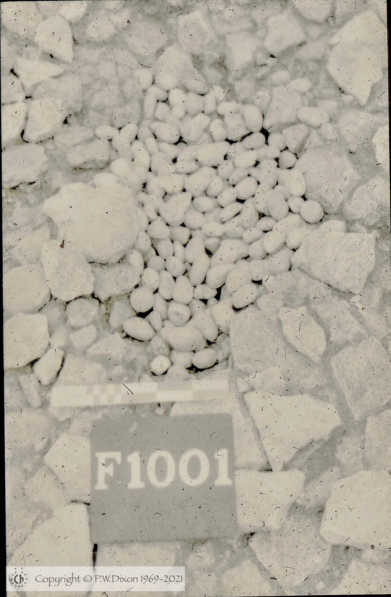 C73016