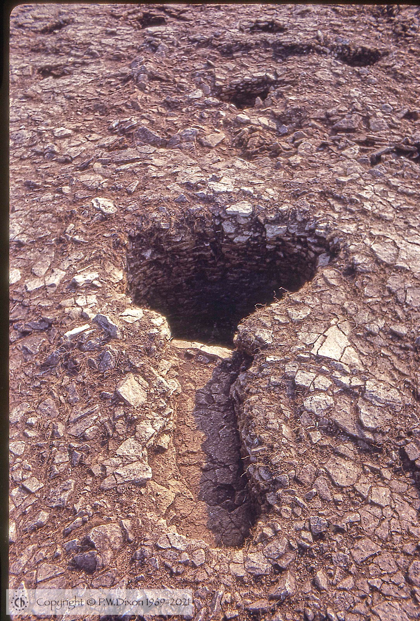 C72003