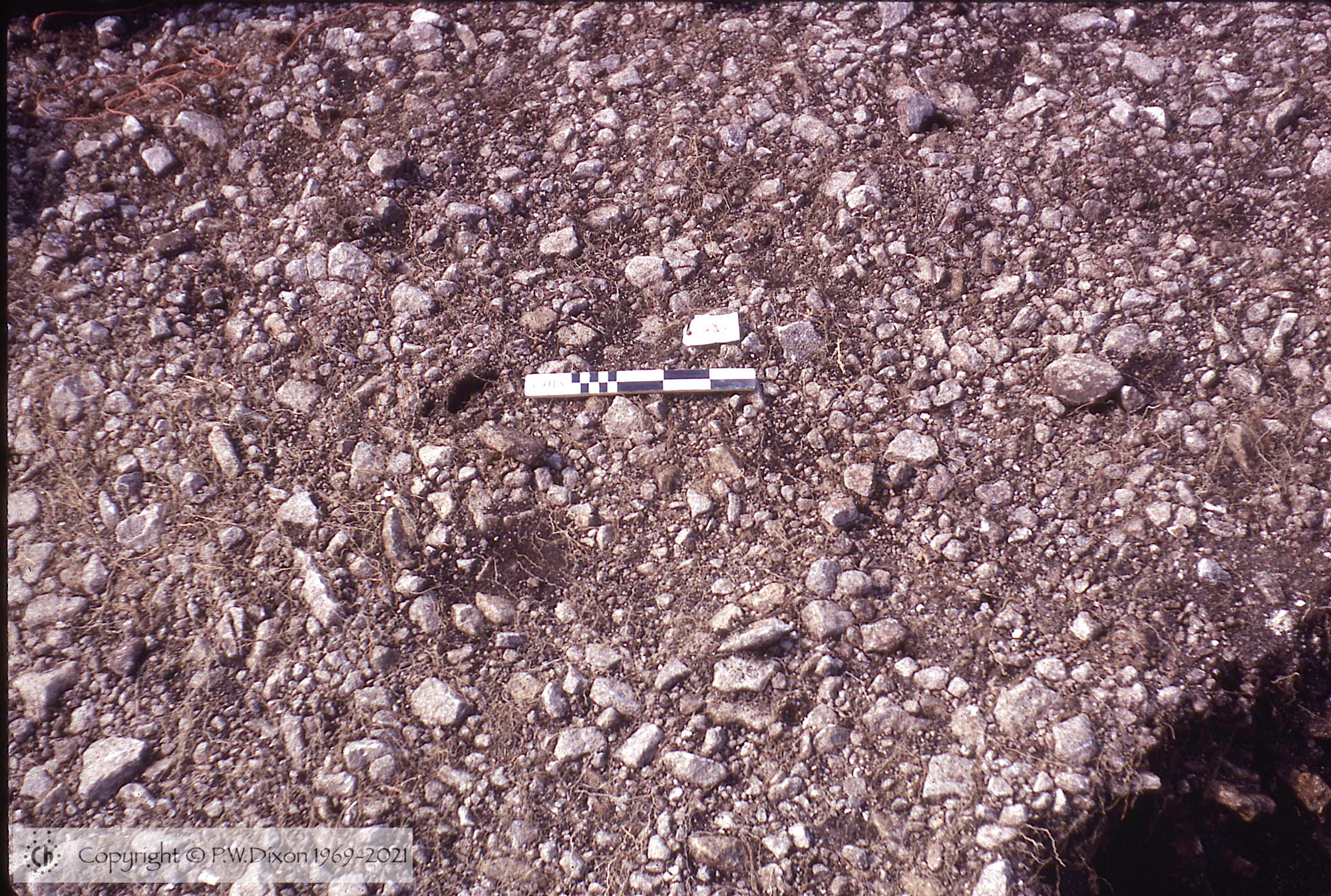 C72064