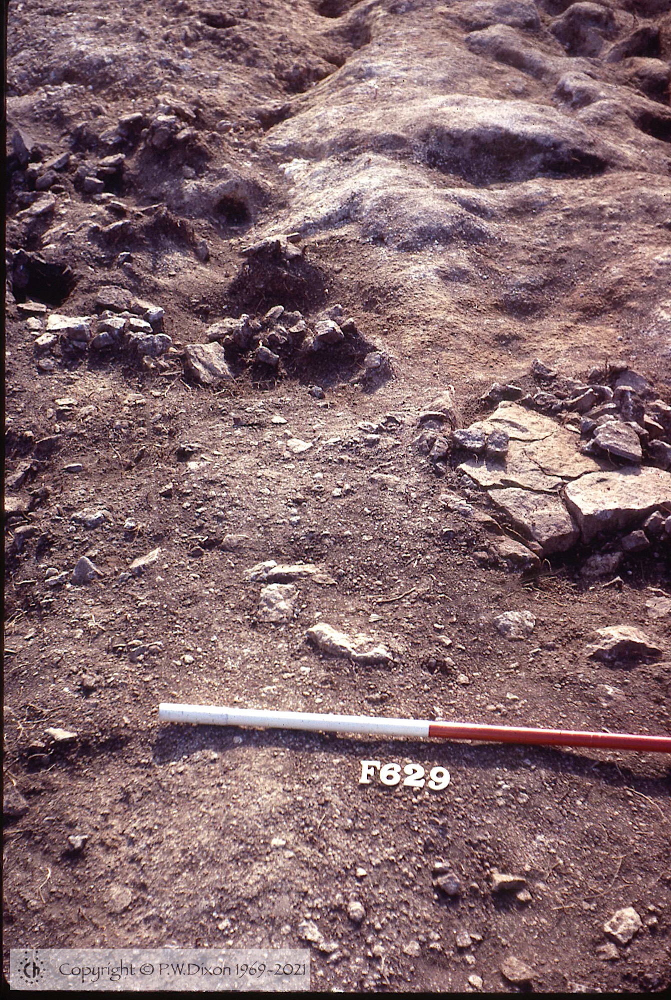 C72091