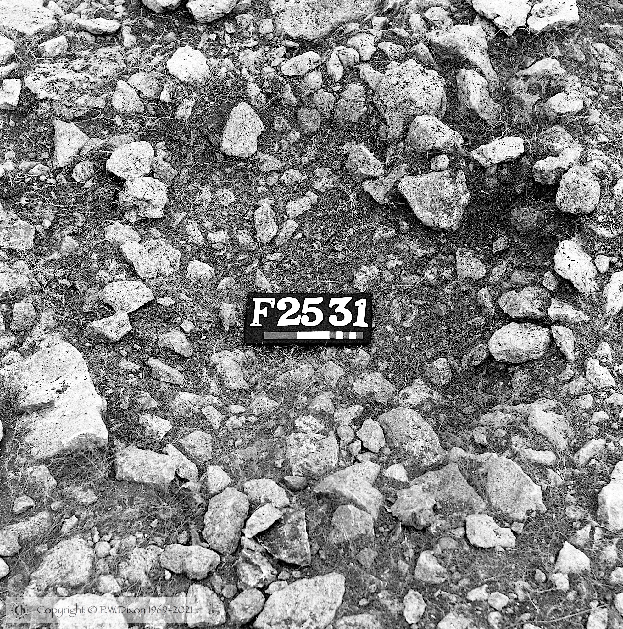 B77021