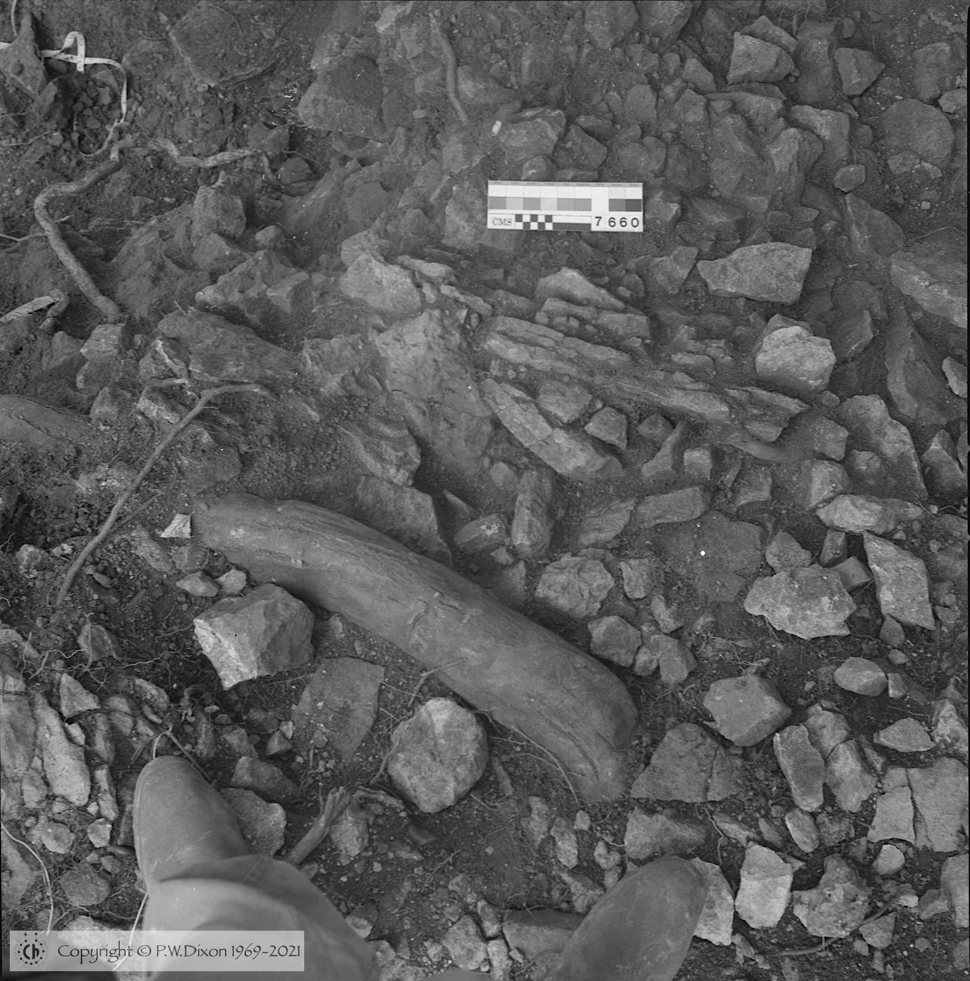 B86034