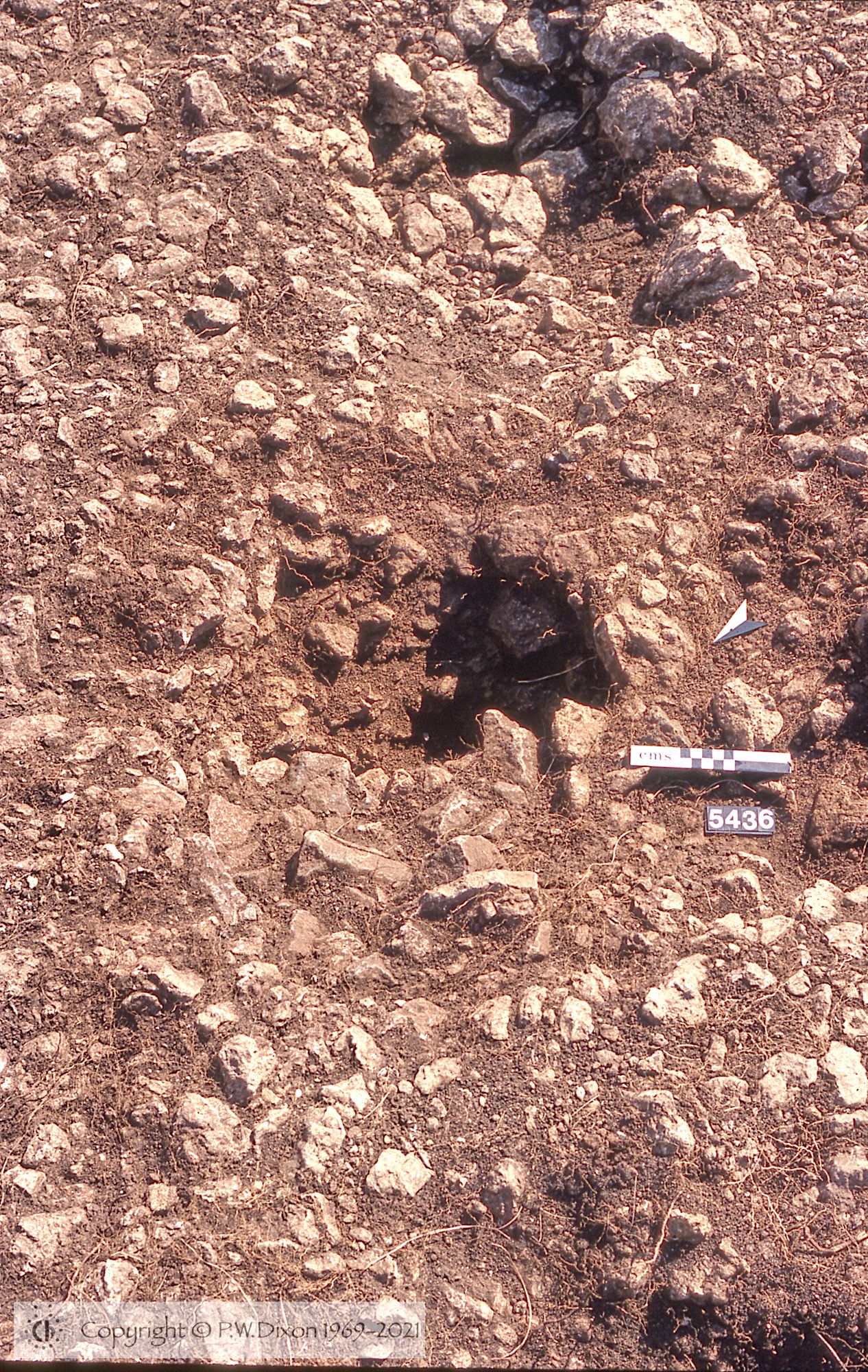 C82038