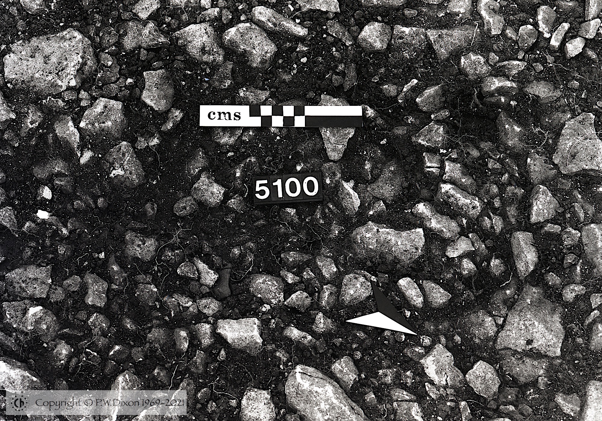 B83076