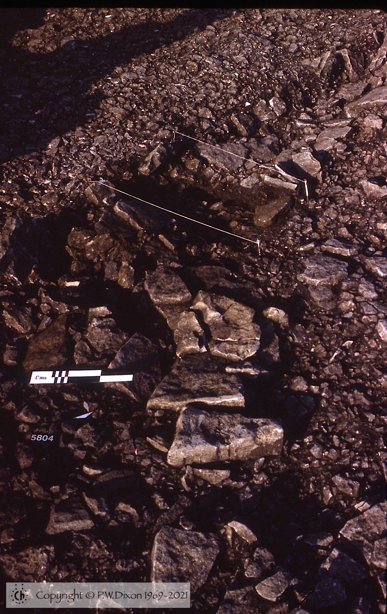 C83114