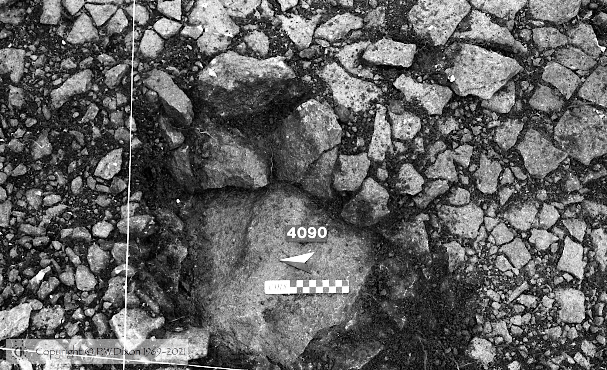 B81051