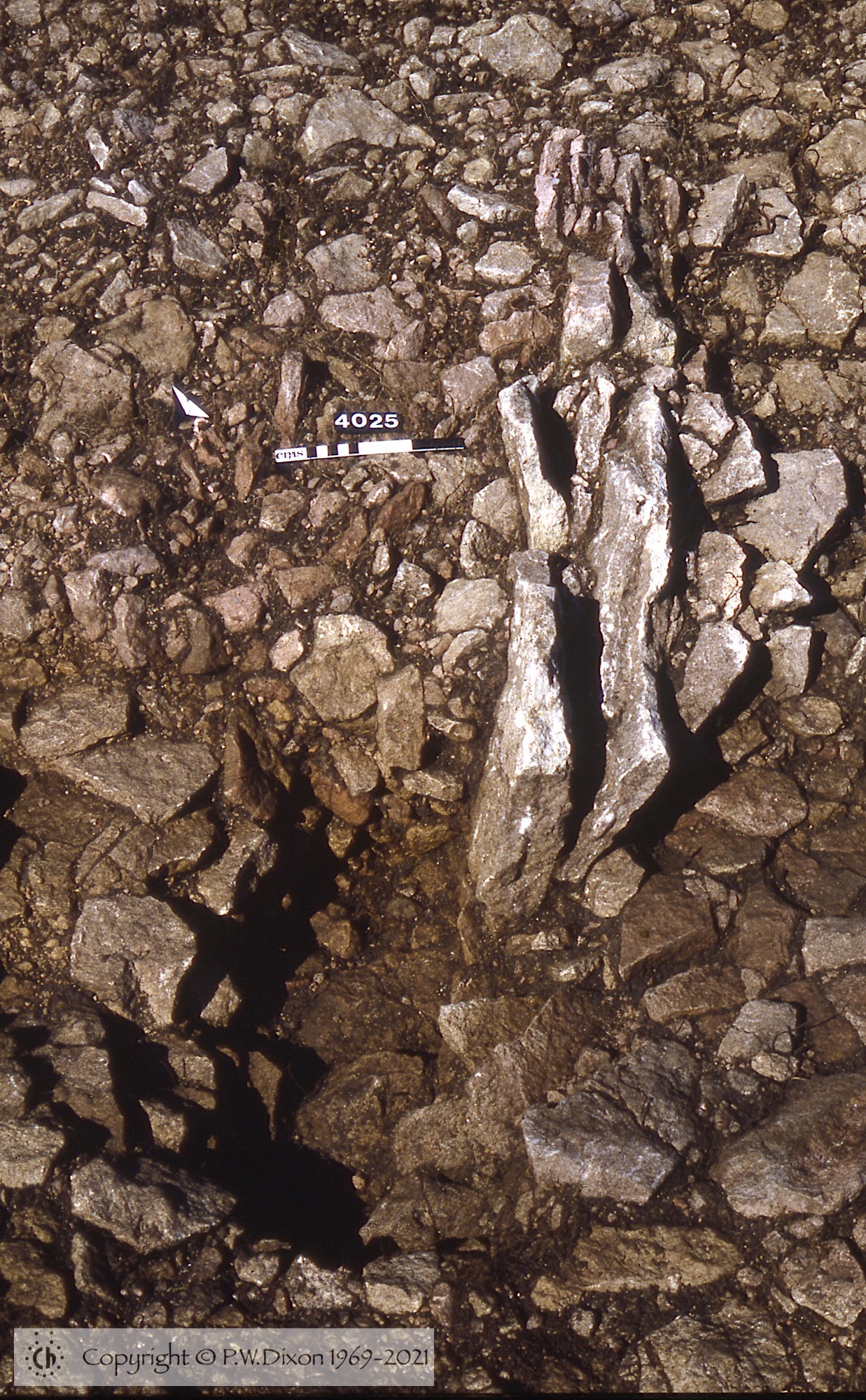 C80062