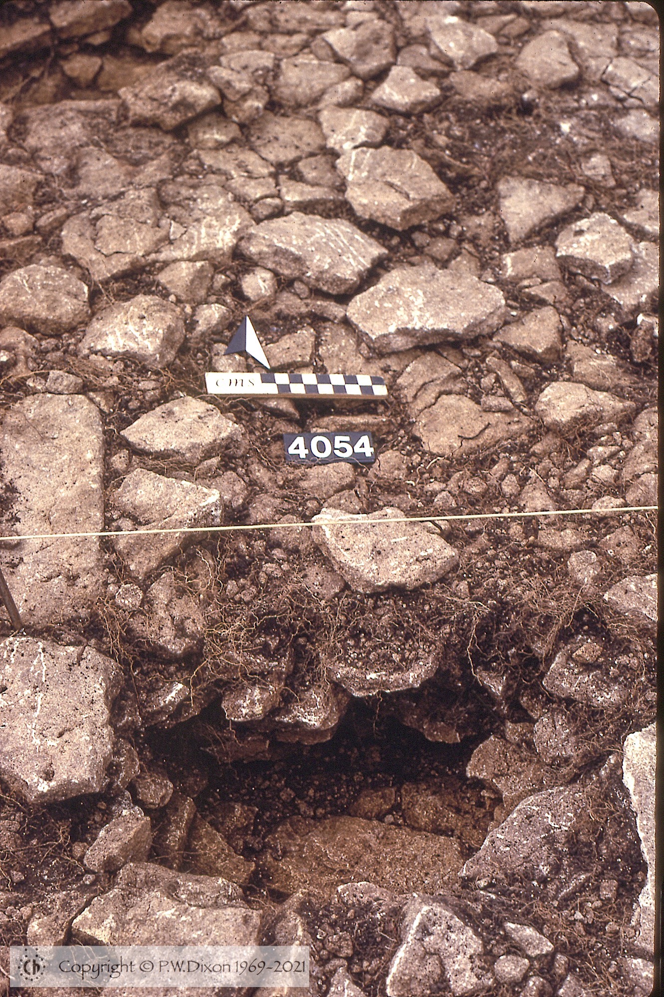 C81015