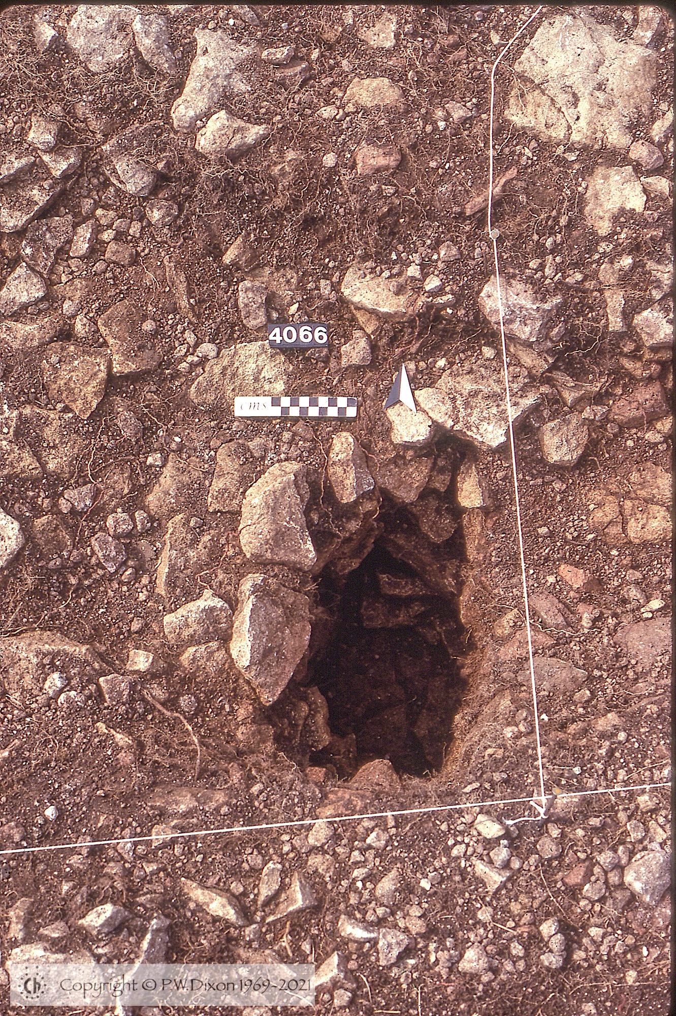 C81016