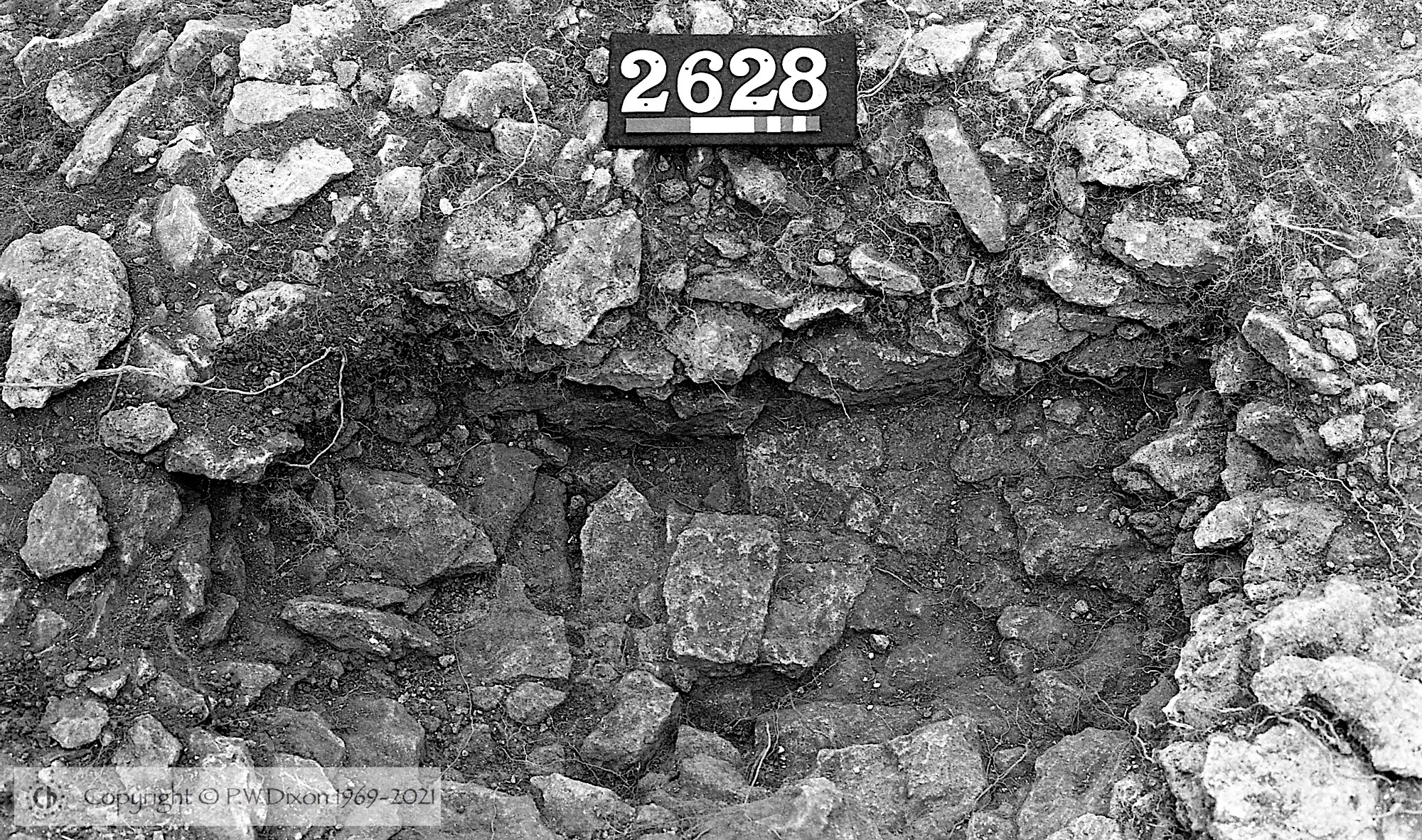 B77051