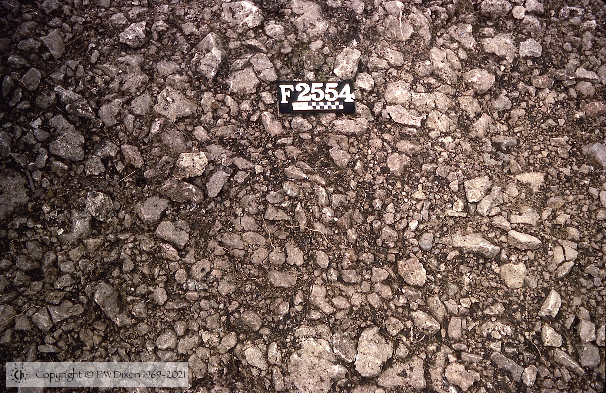 C77004