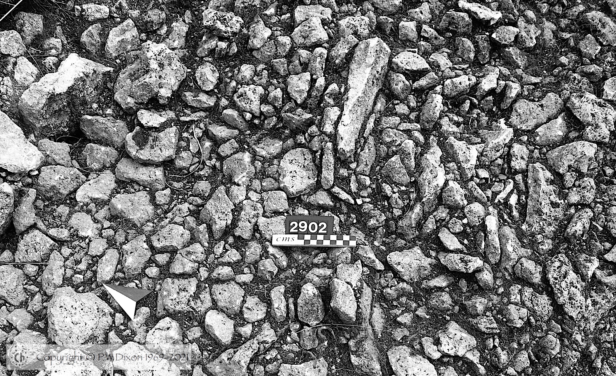 B78098