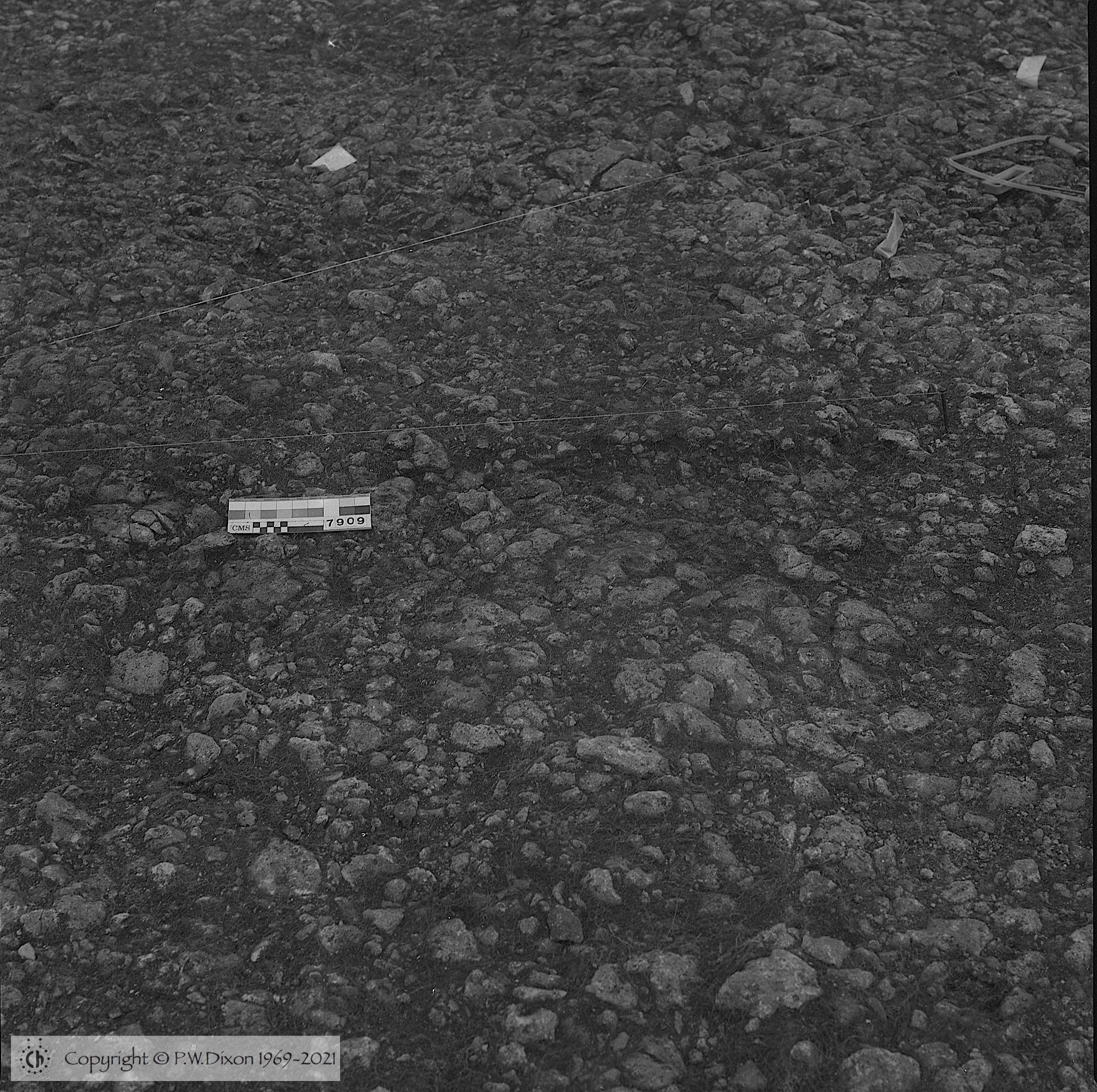 B87025