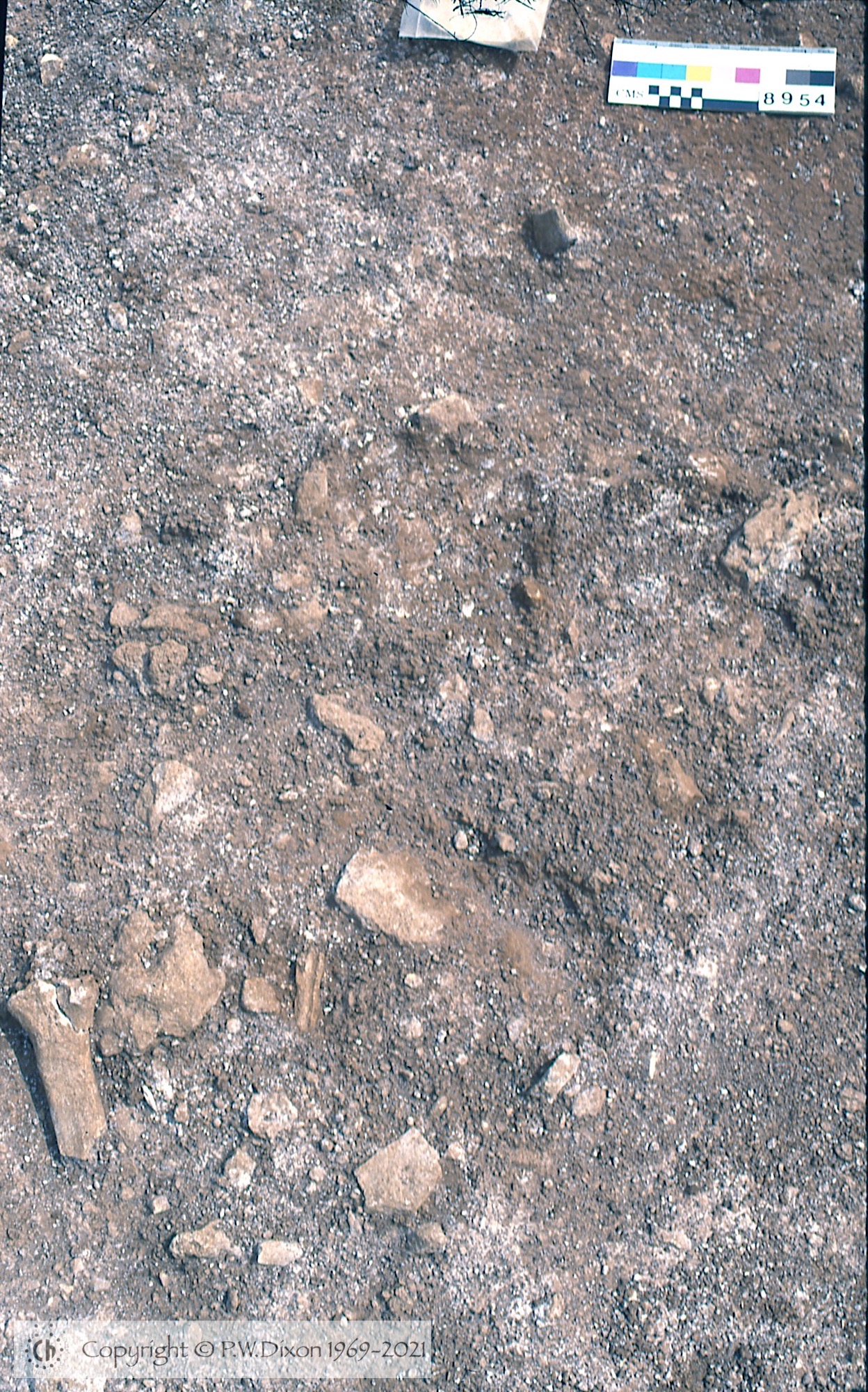 C88027