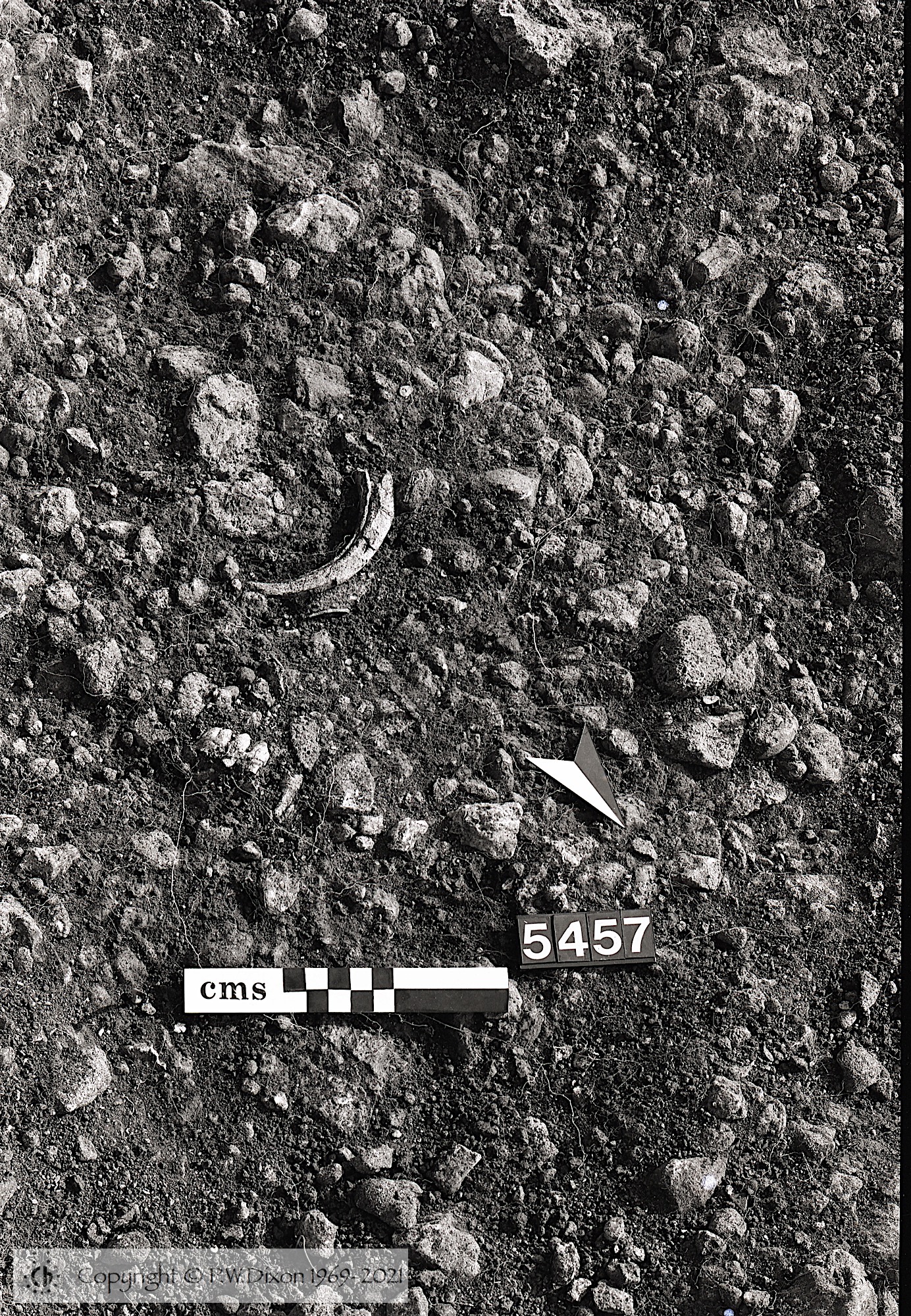 B83077