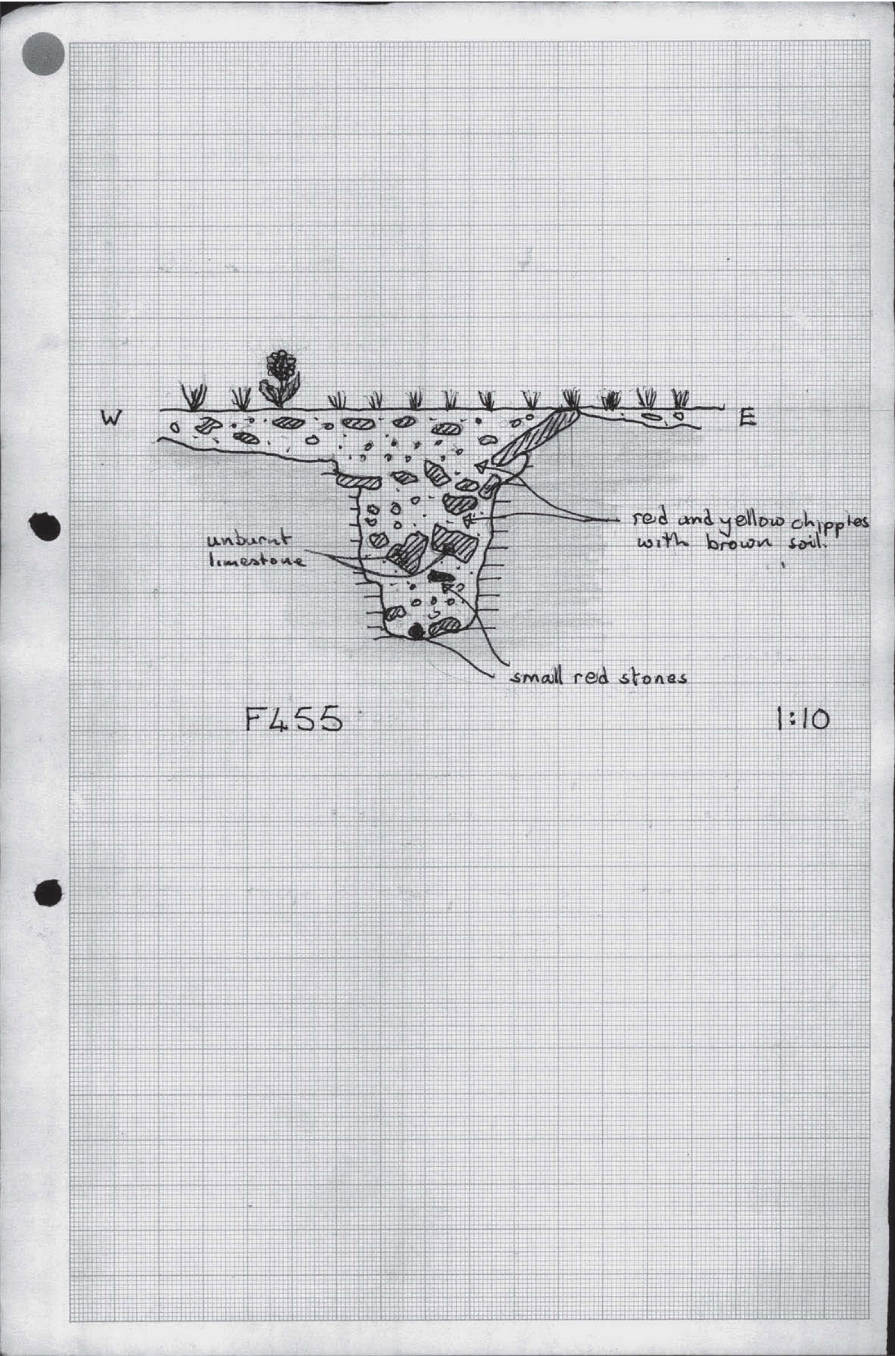 B017 31