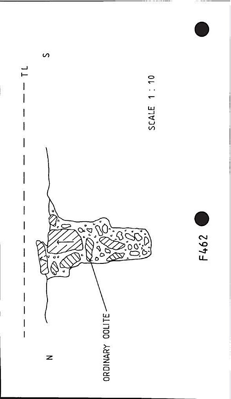 B017 41