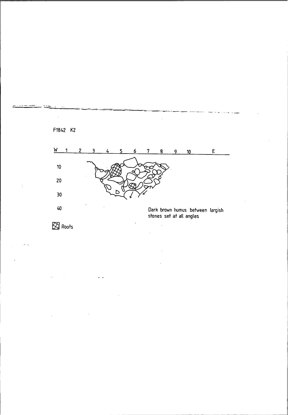 B036 81