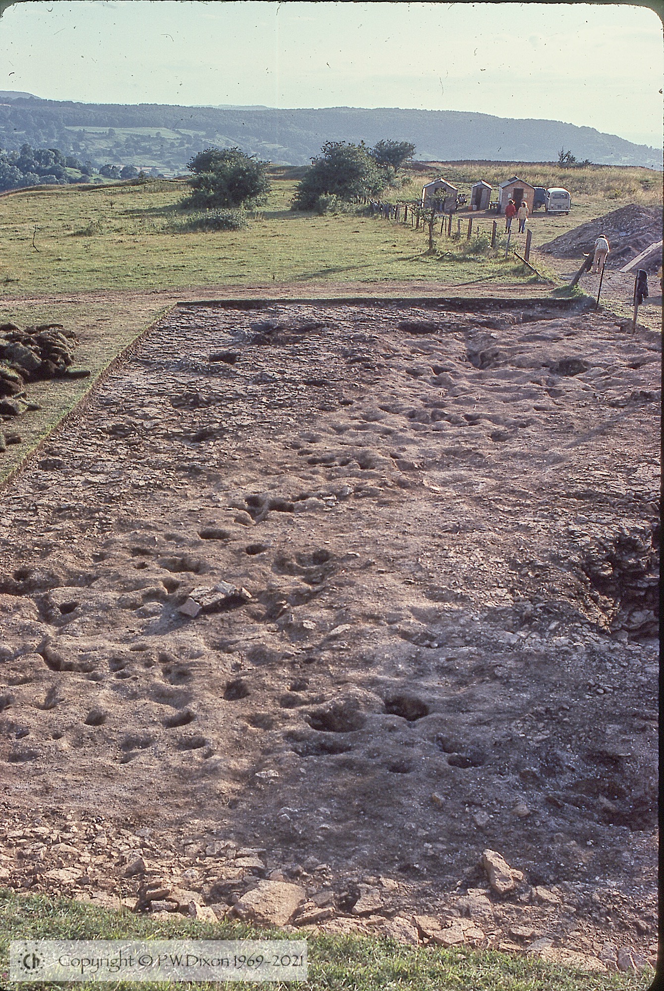 C79194