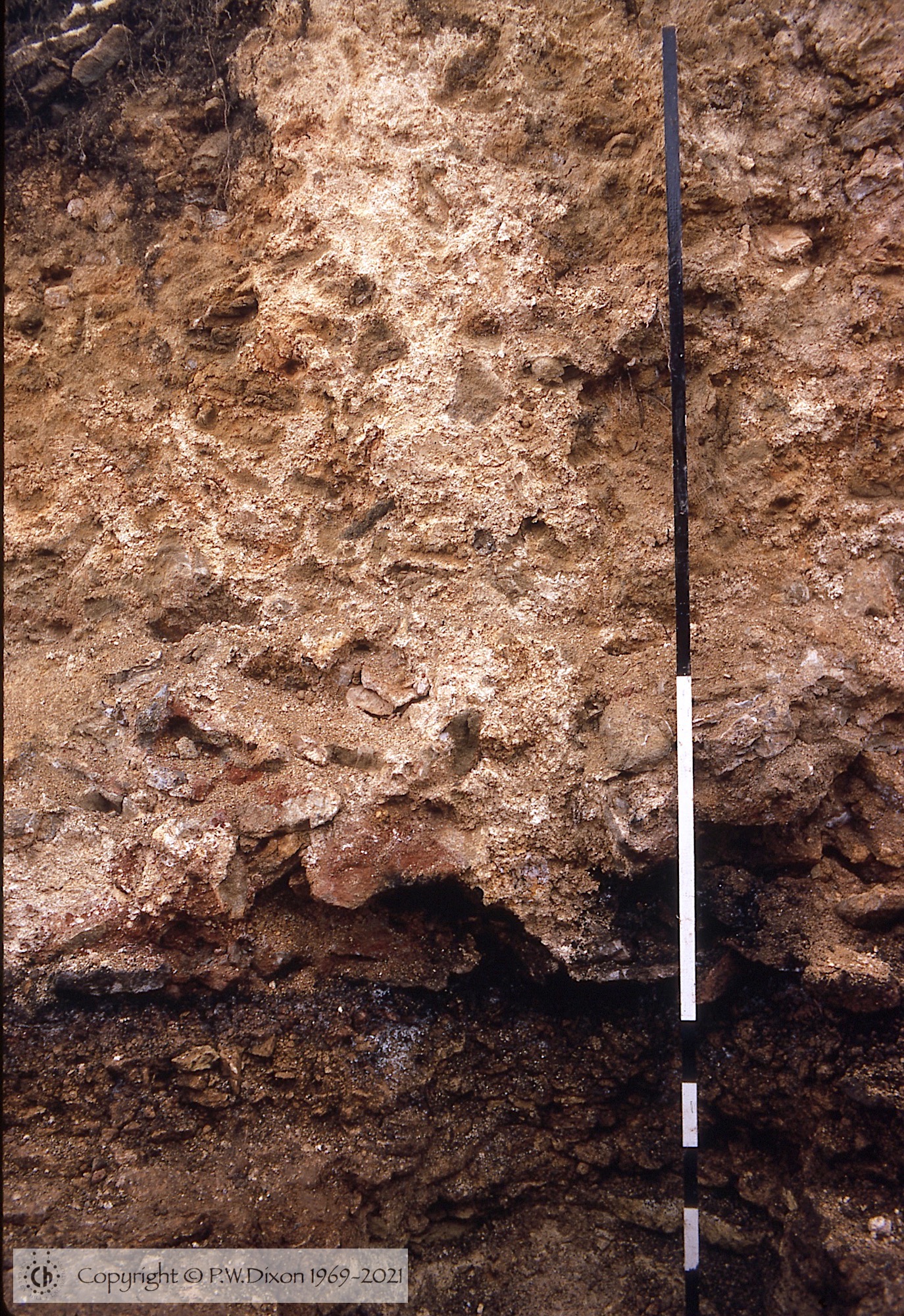 C69145