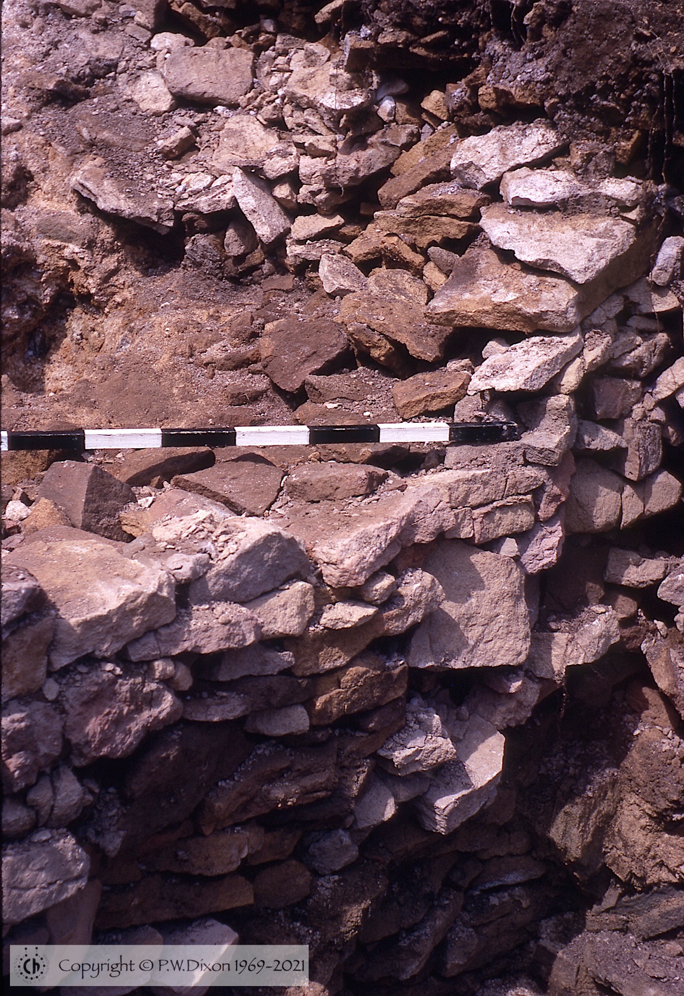 C69185