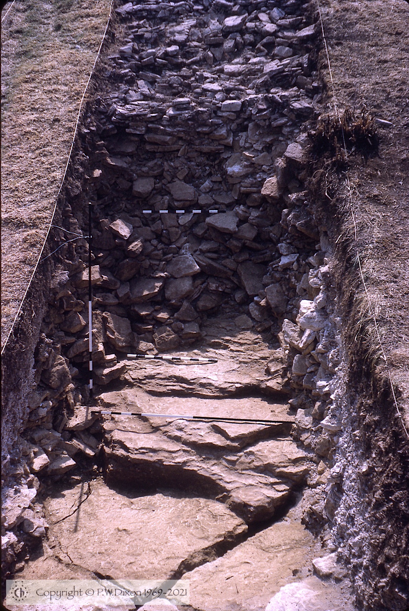 C69204