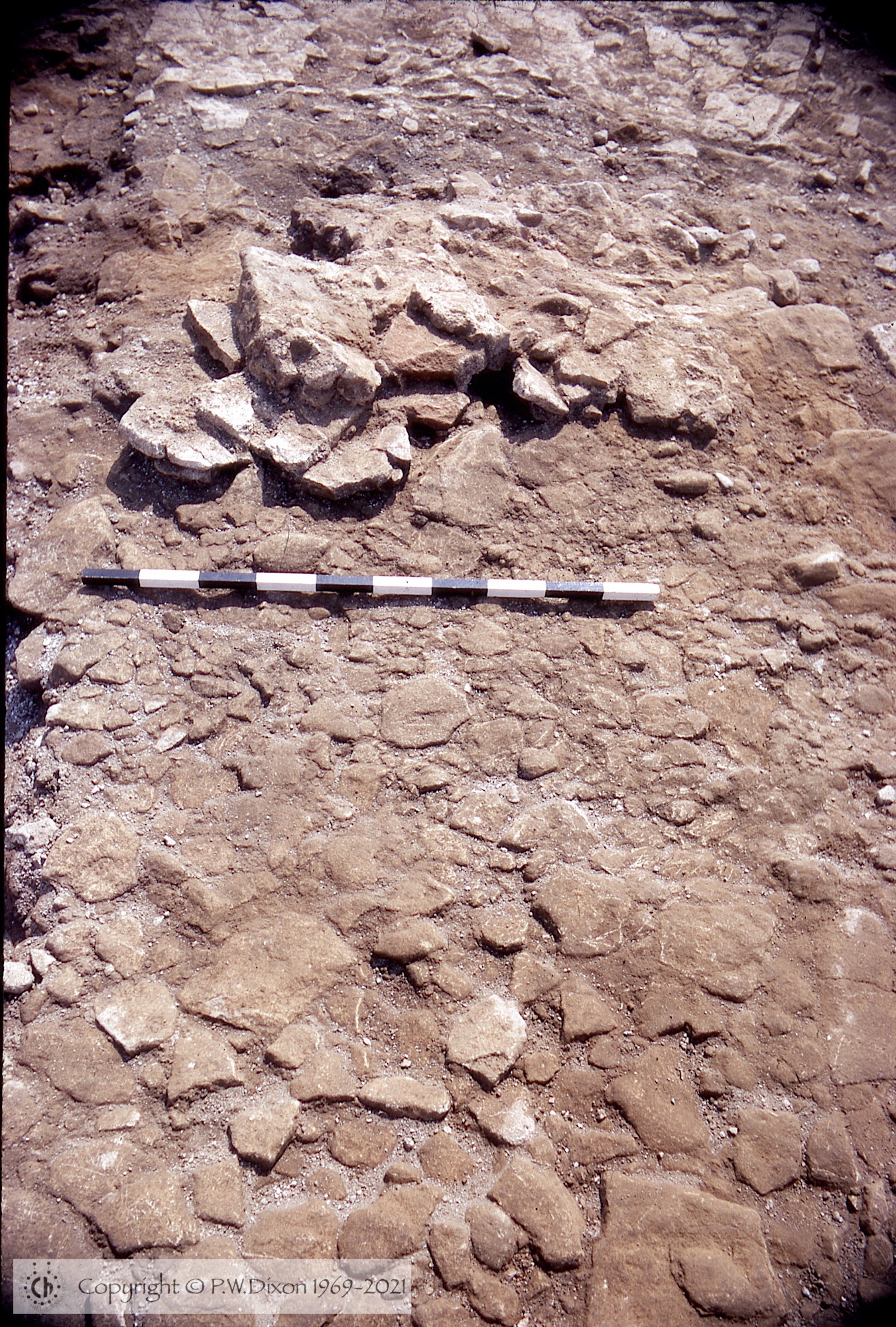 C69102