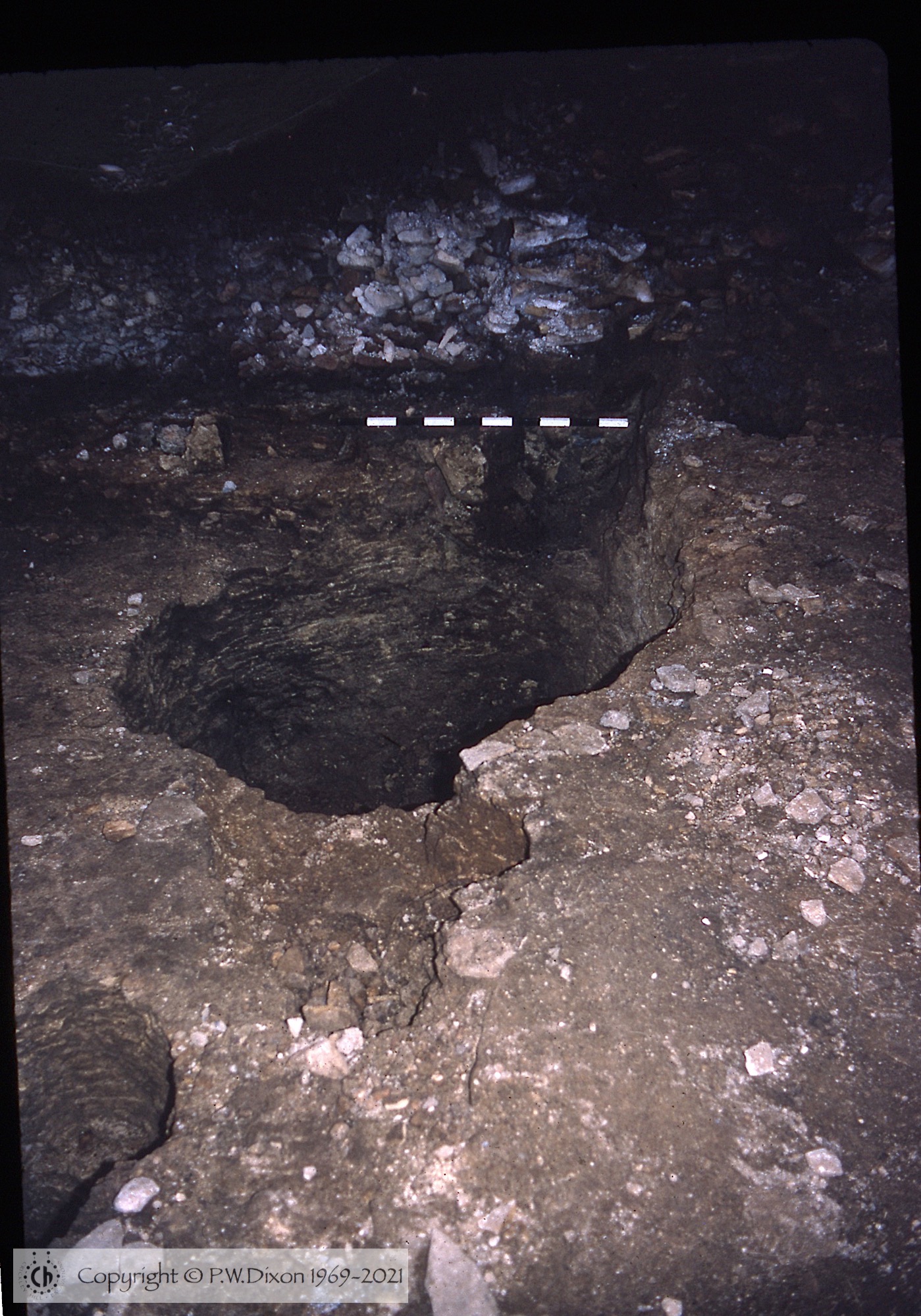 C69124