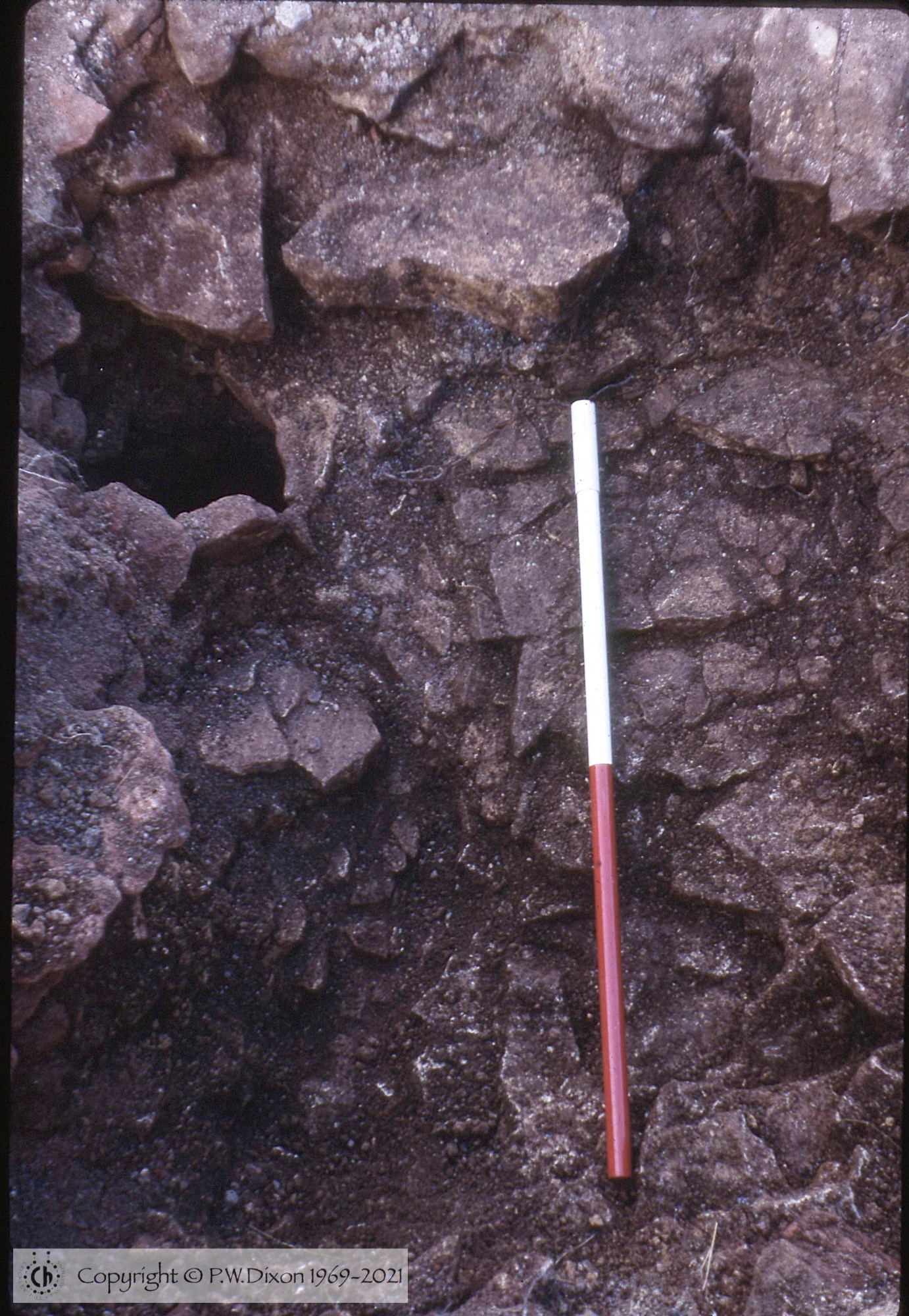 C71147