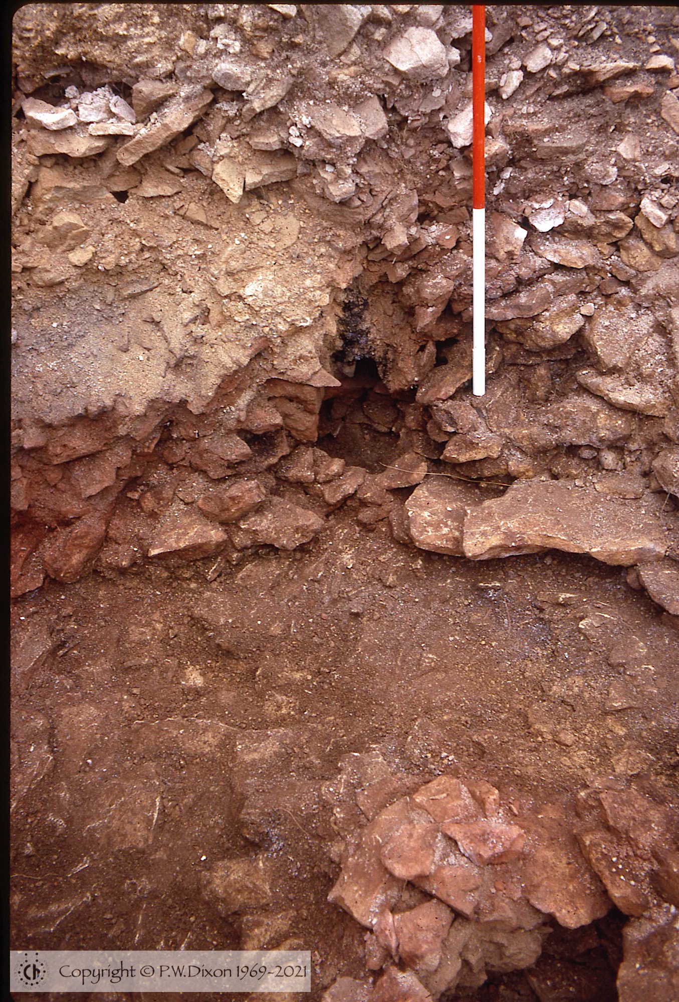C71161