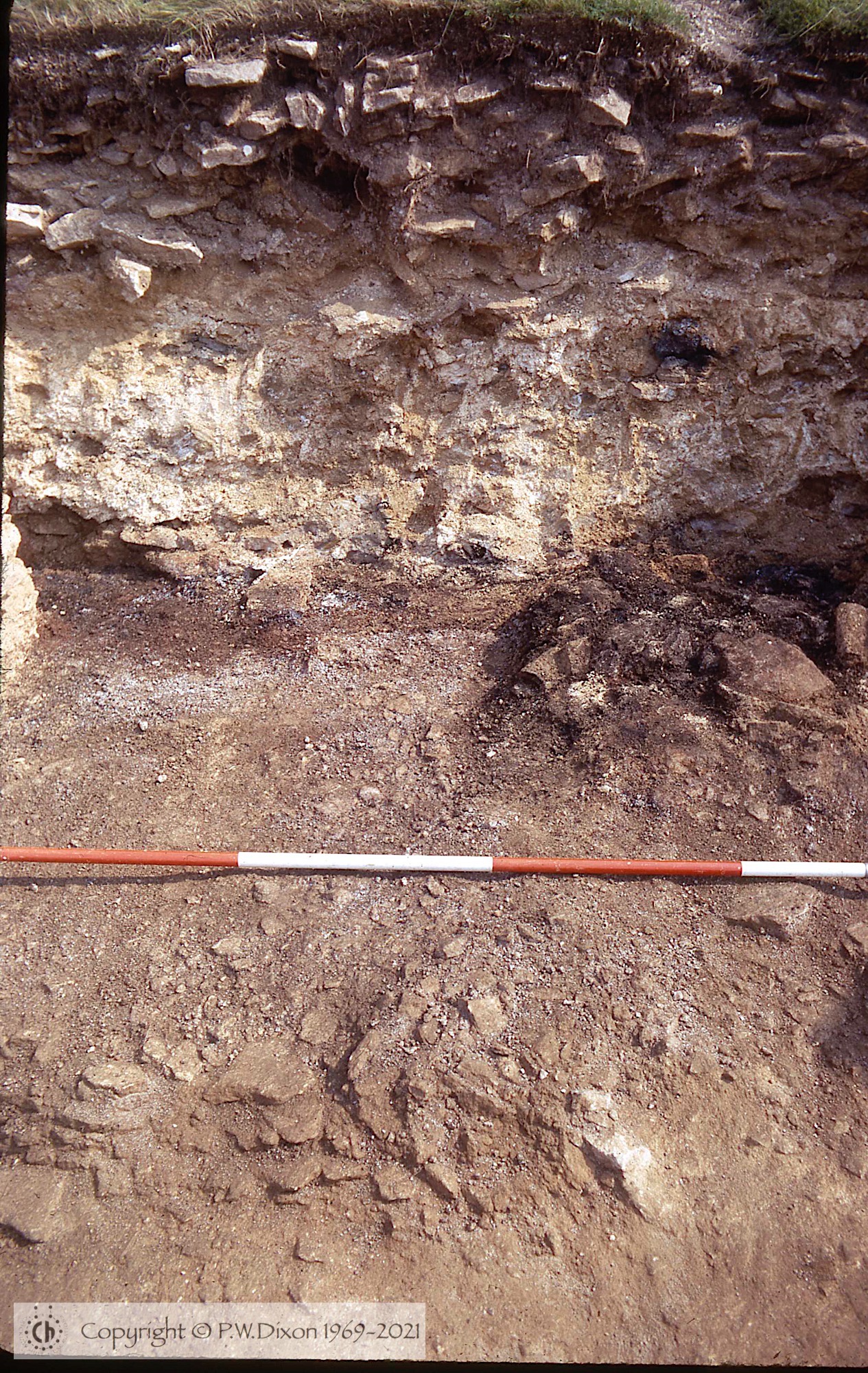 C73142