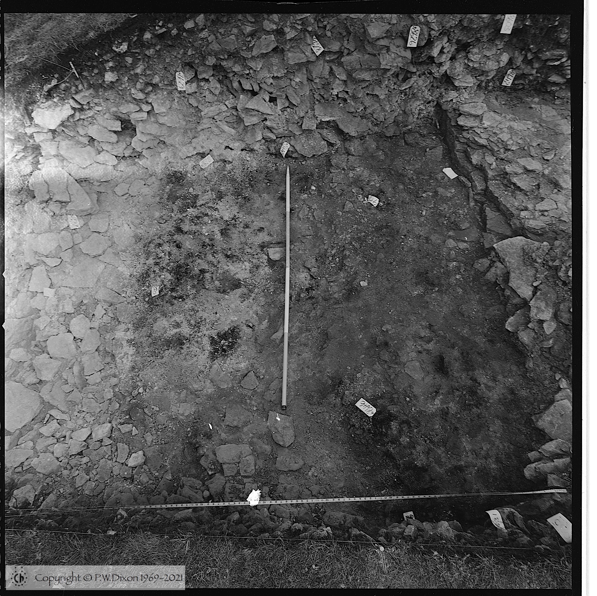 B88126