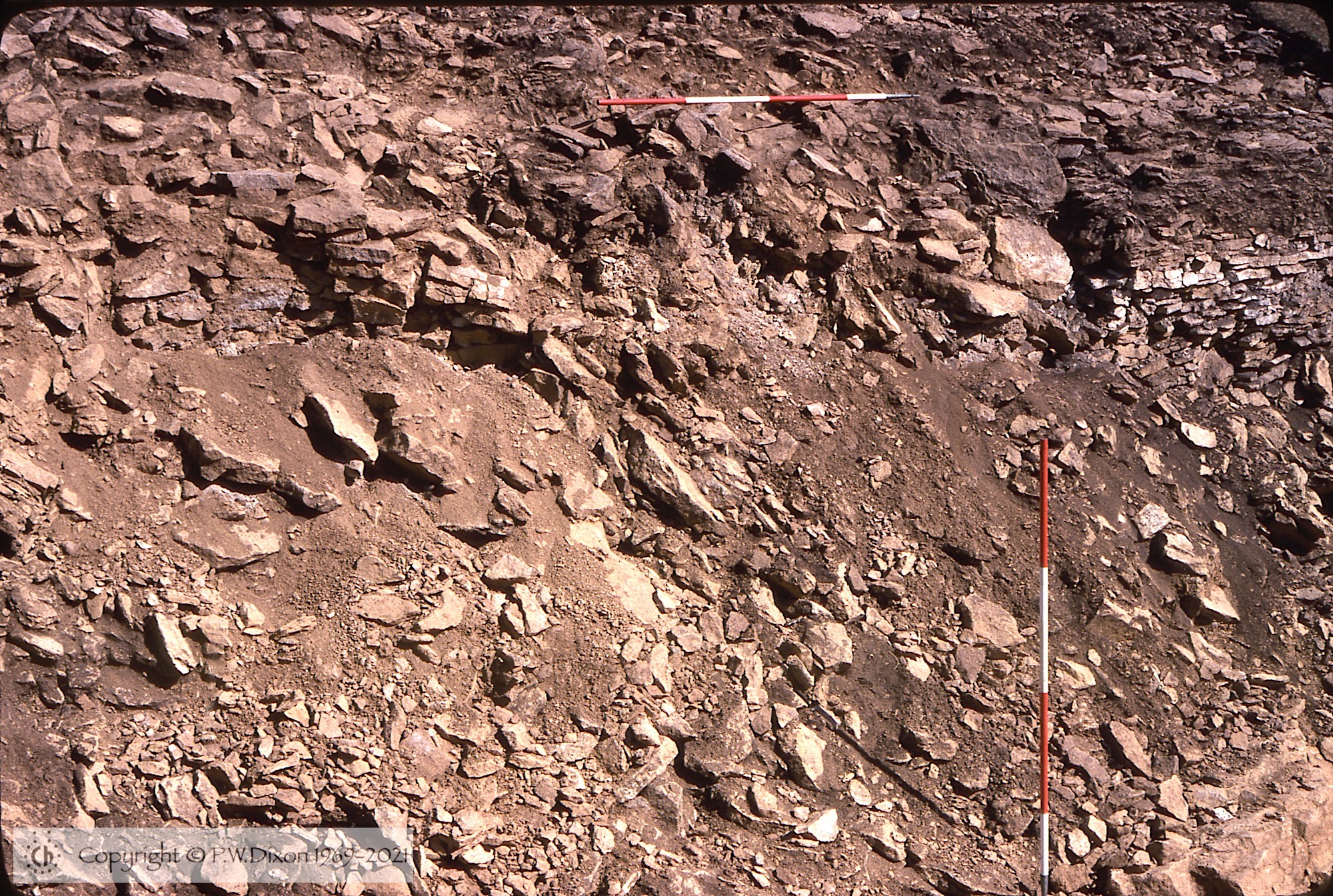 C79120