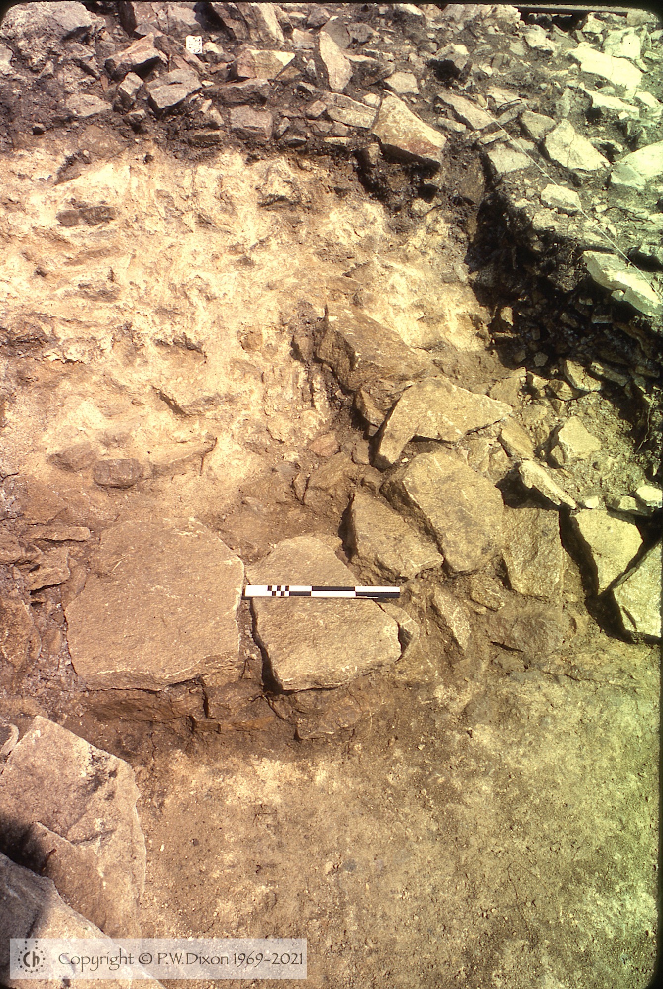 C79195