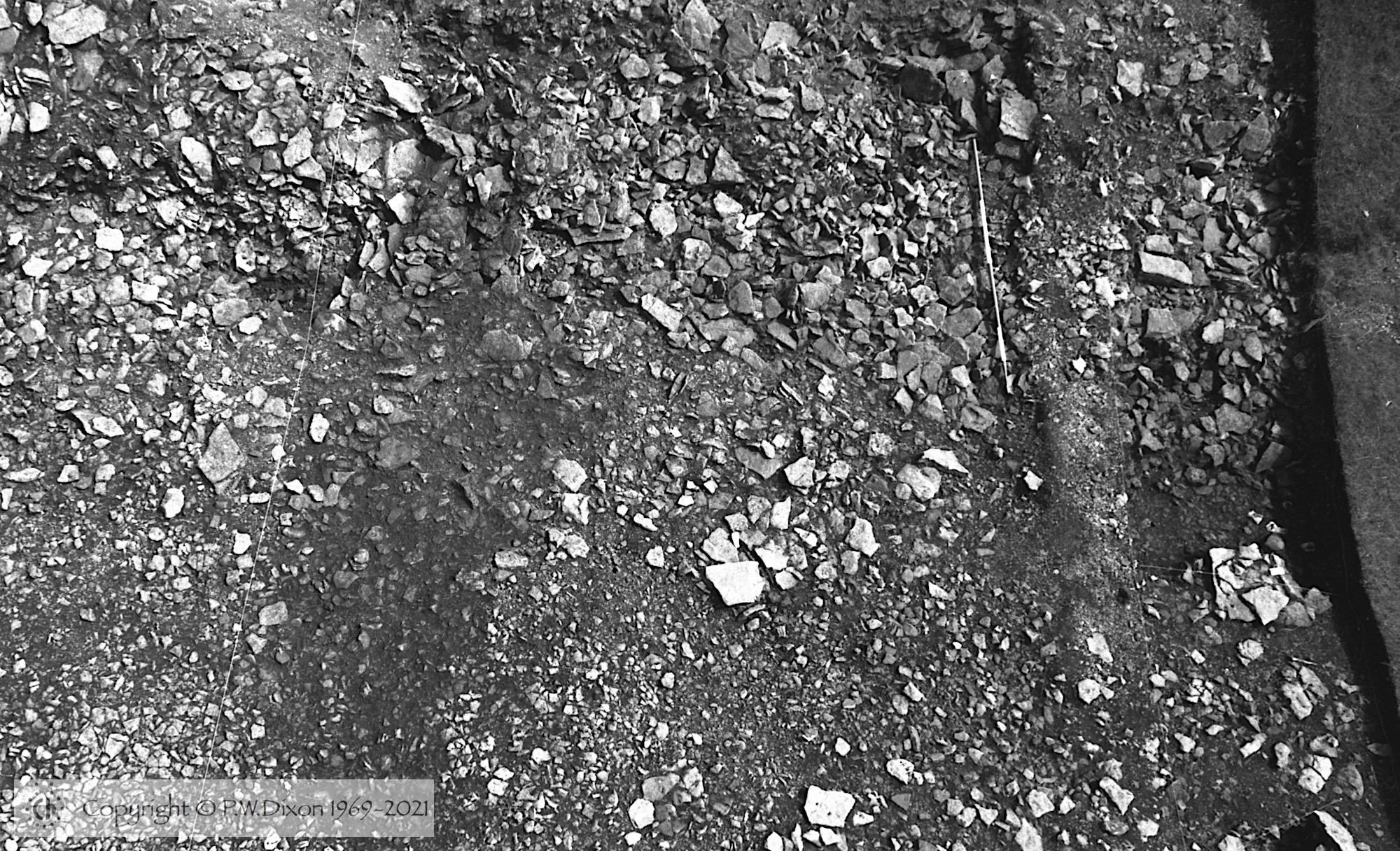 B82175