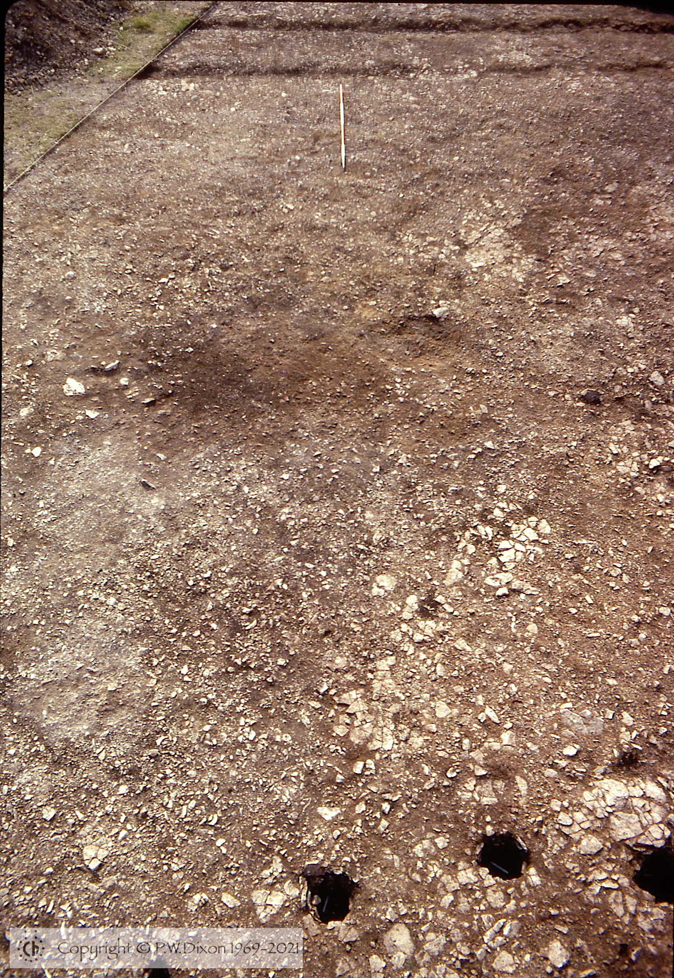 C72236