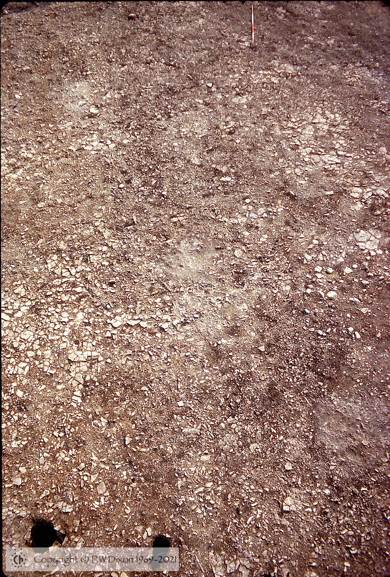 C72239