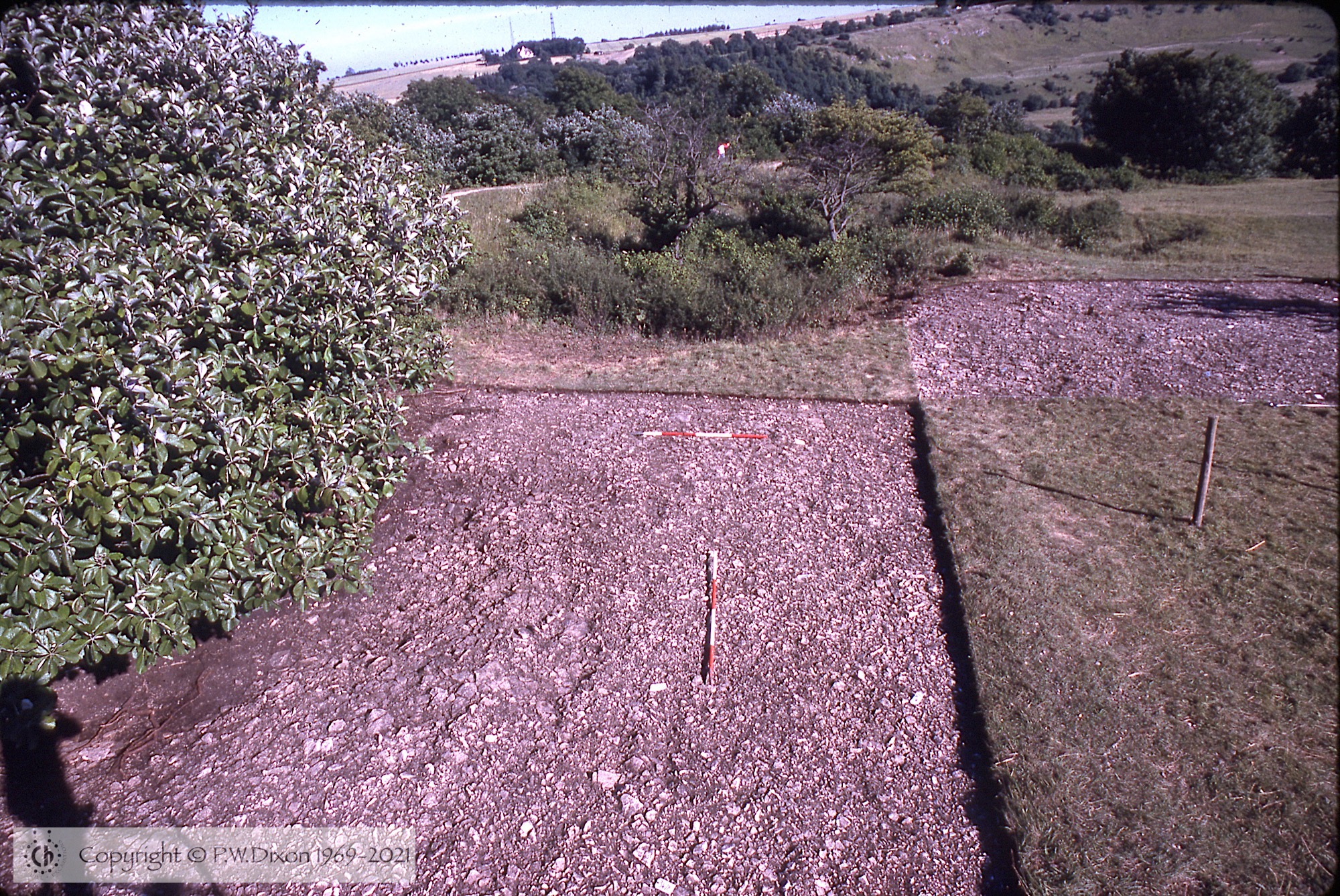 C89394