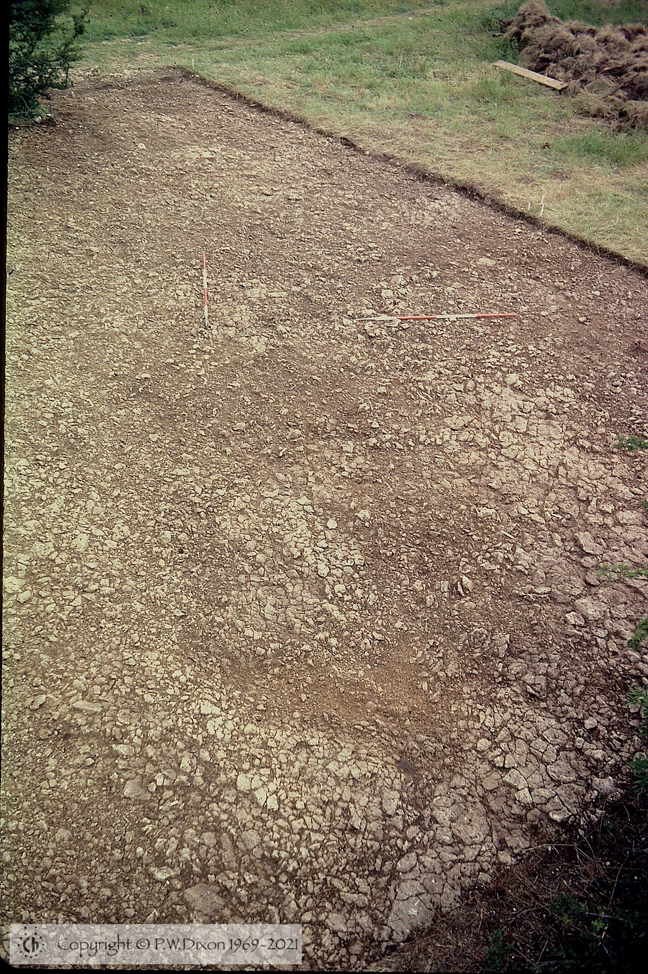 C77106