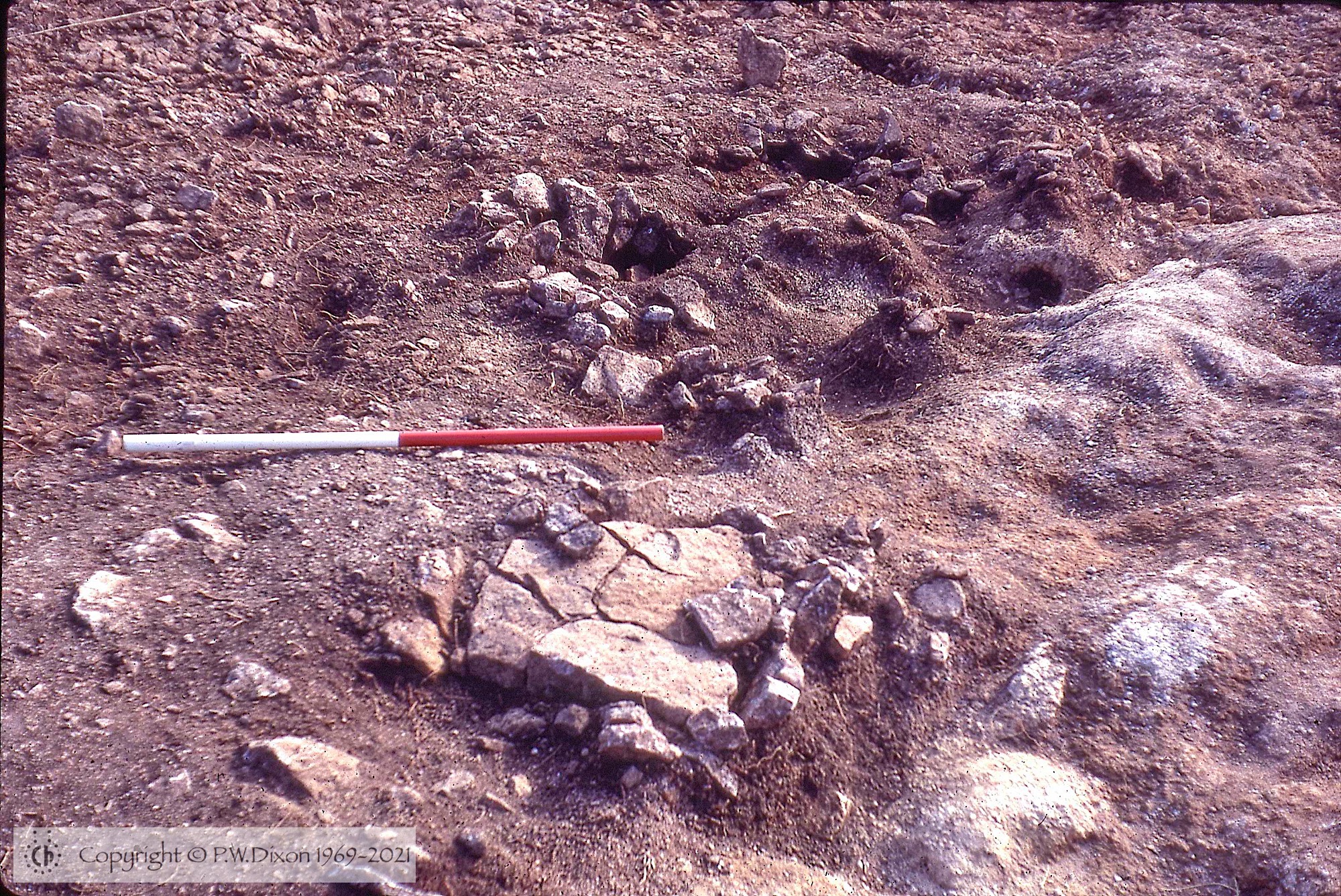C72362