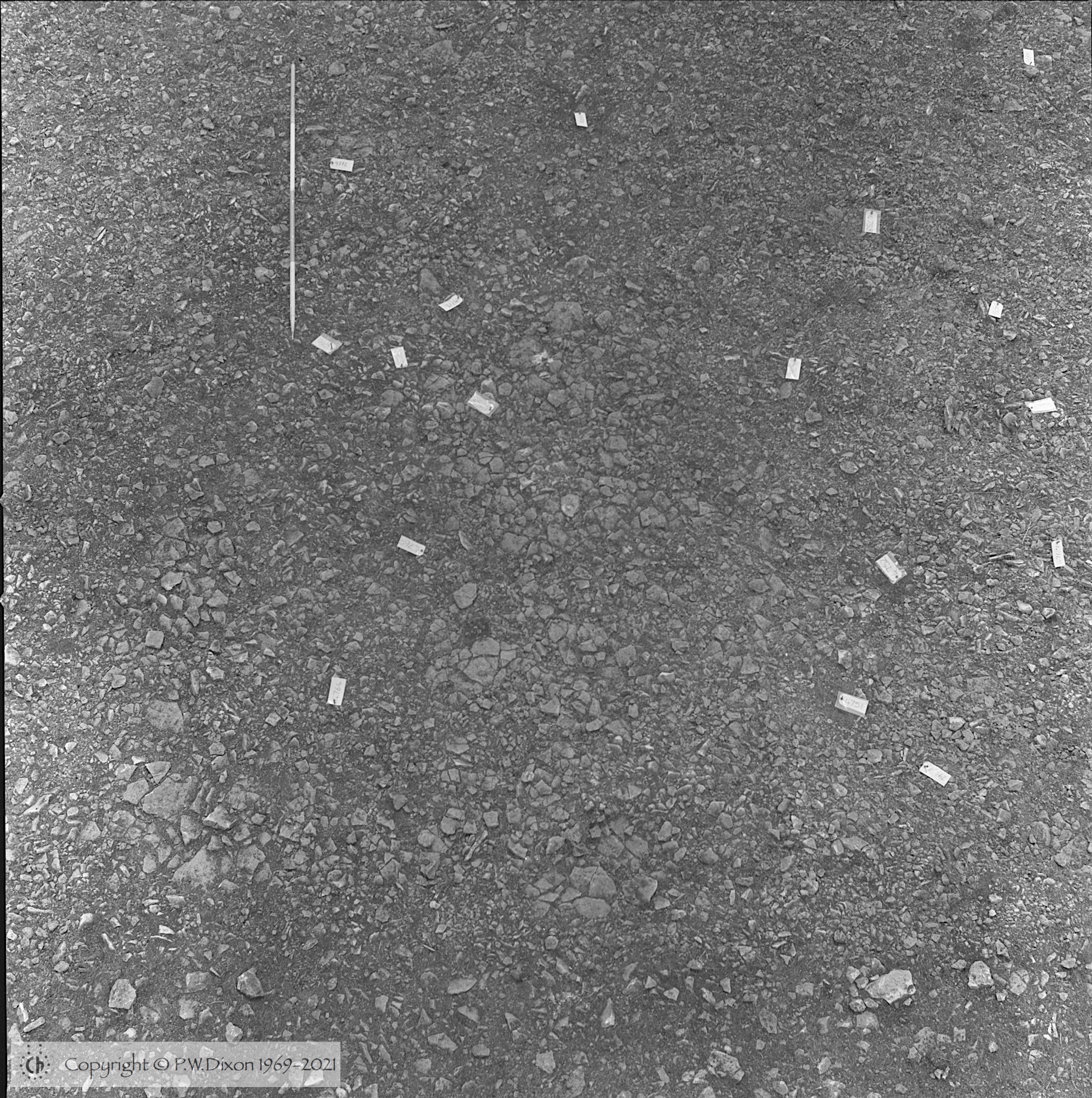 B89124
