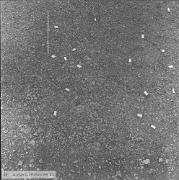 B89124