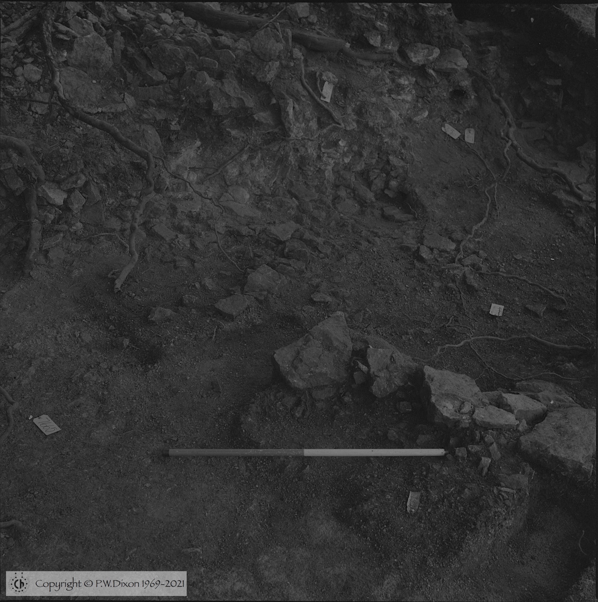 B86314