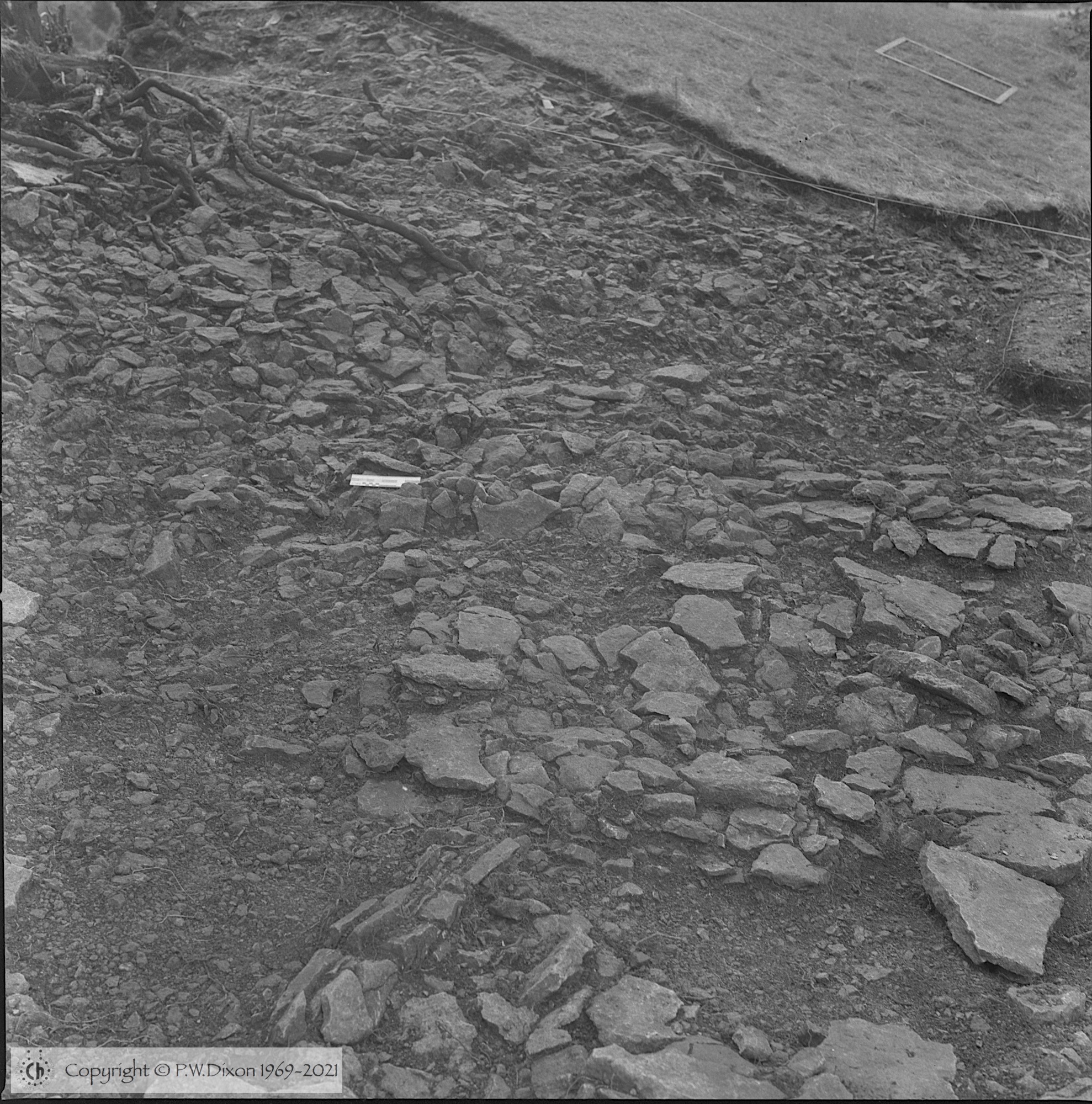 B86317