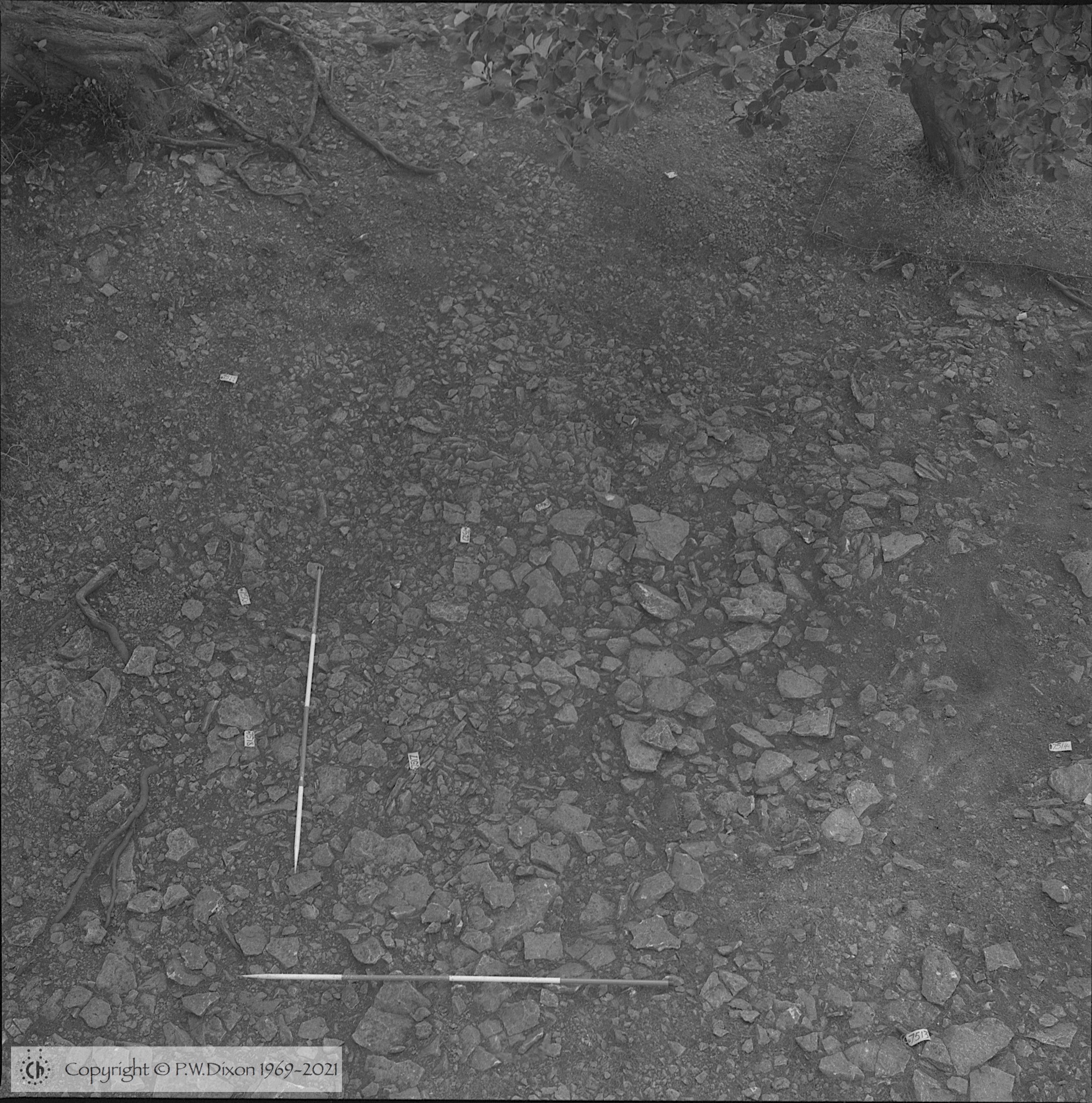 B86276