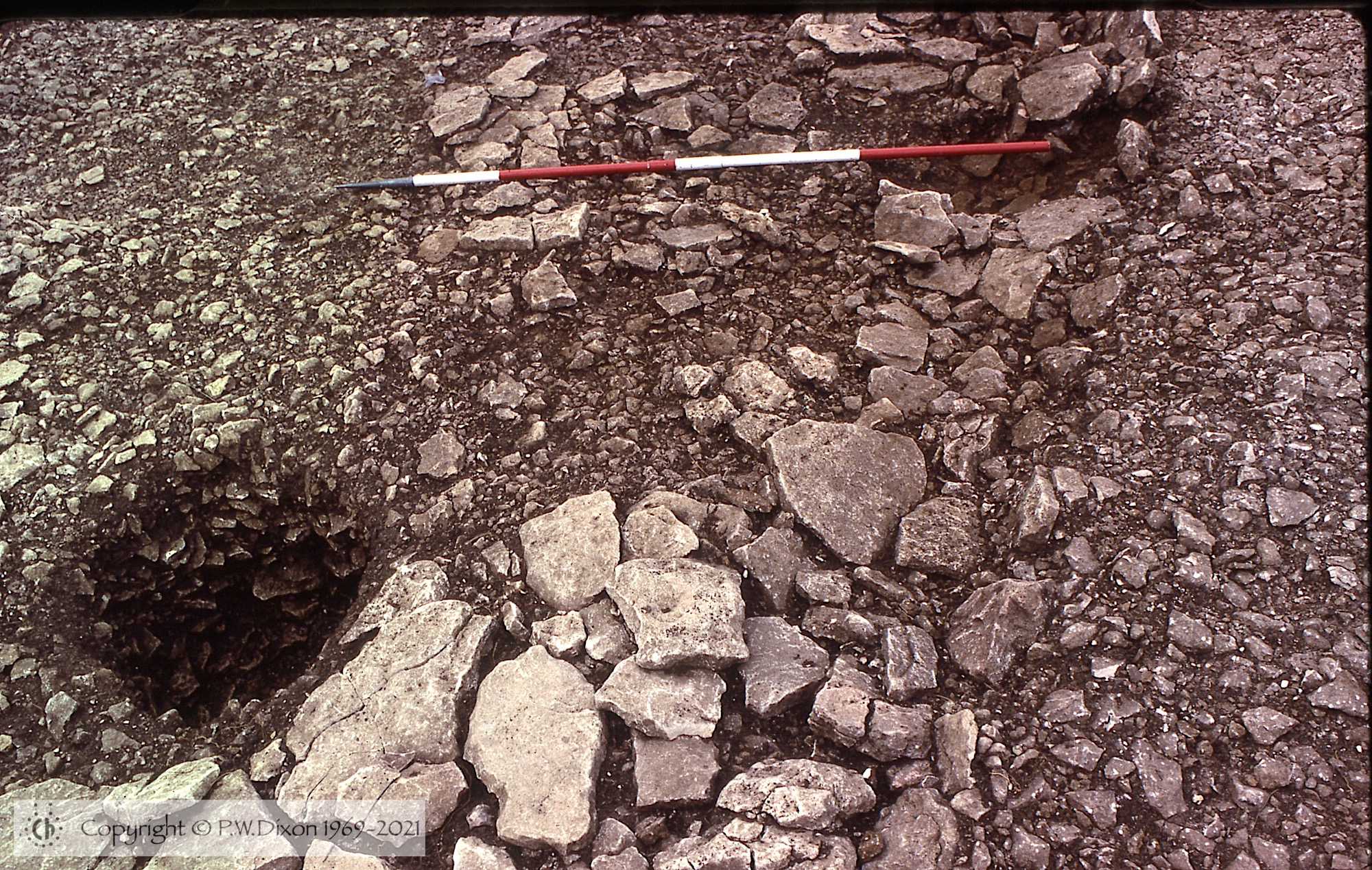 C83242