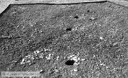 B82130