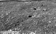 B82134