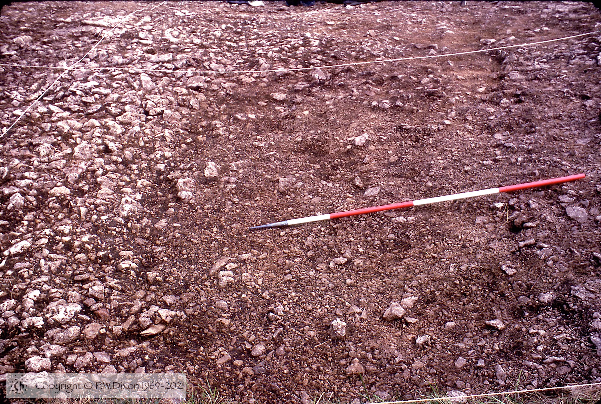 C74124